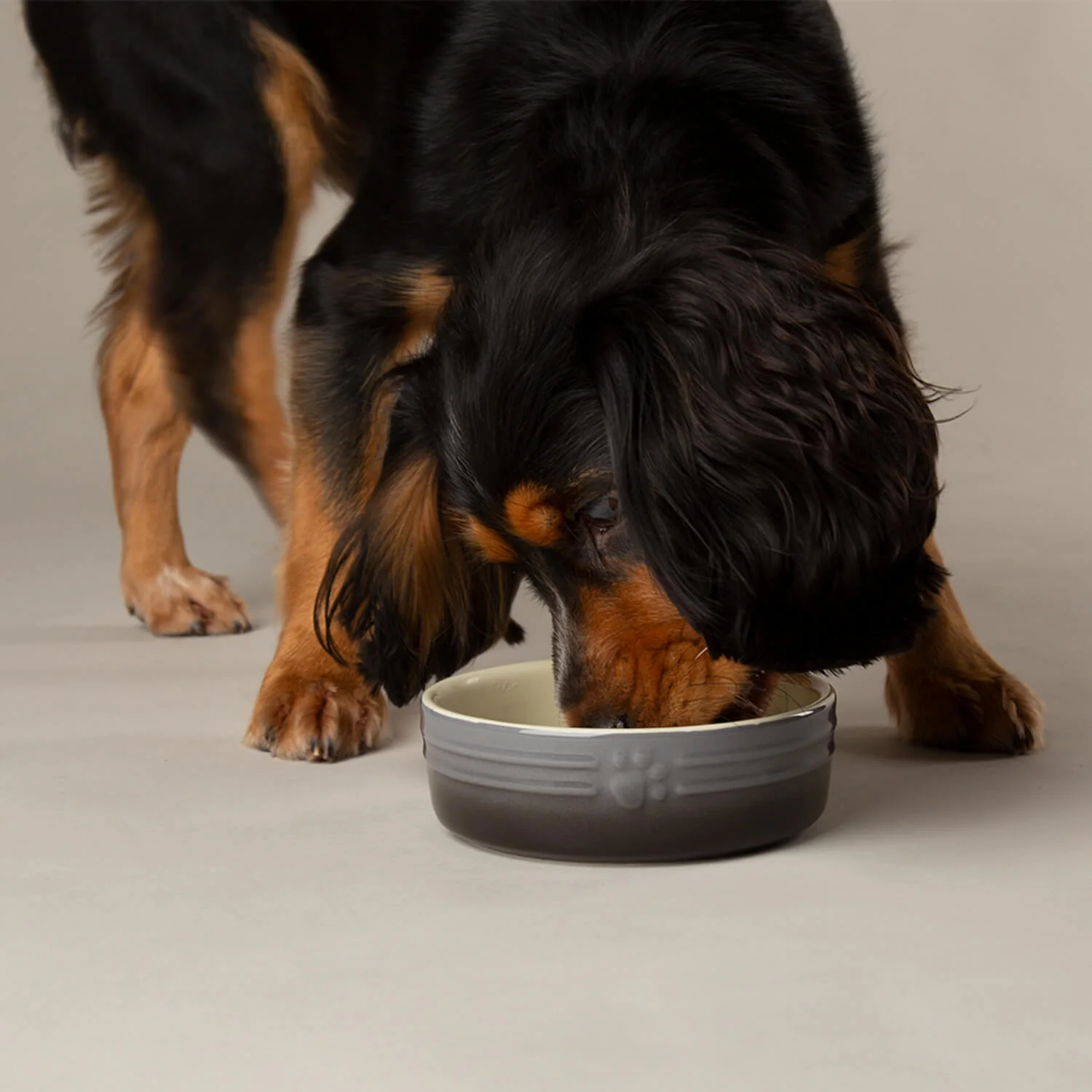Scruffs Ombré 13cm Stoneware Pet Bowl - Grey - Image 3