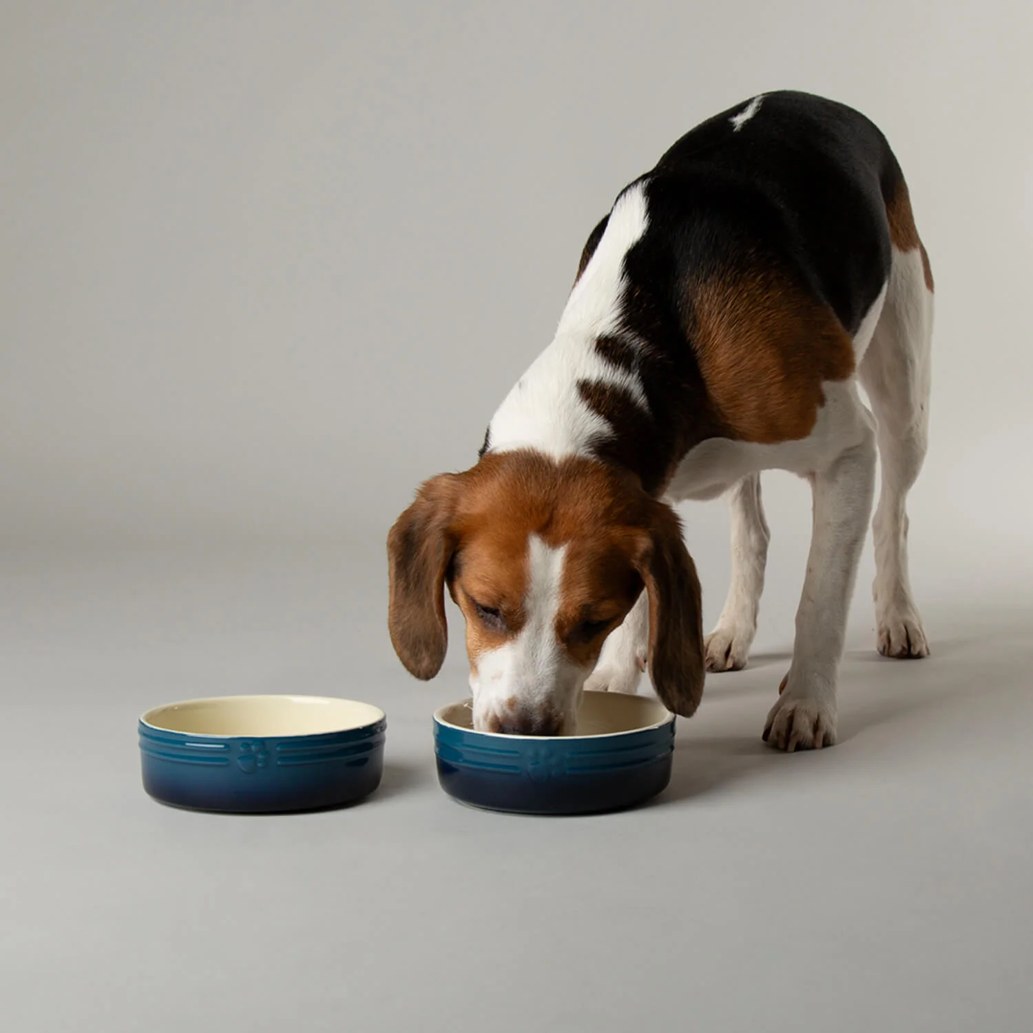 Scruffs Ombré 15cm Stoneware Pet Bowl - Blue - Image 4