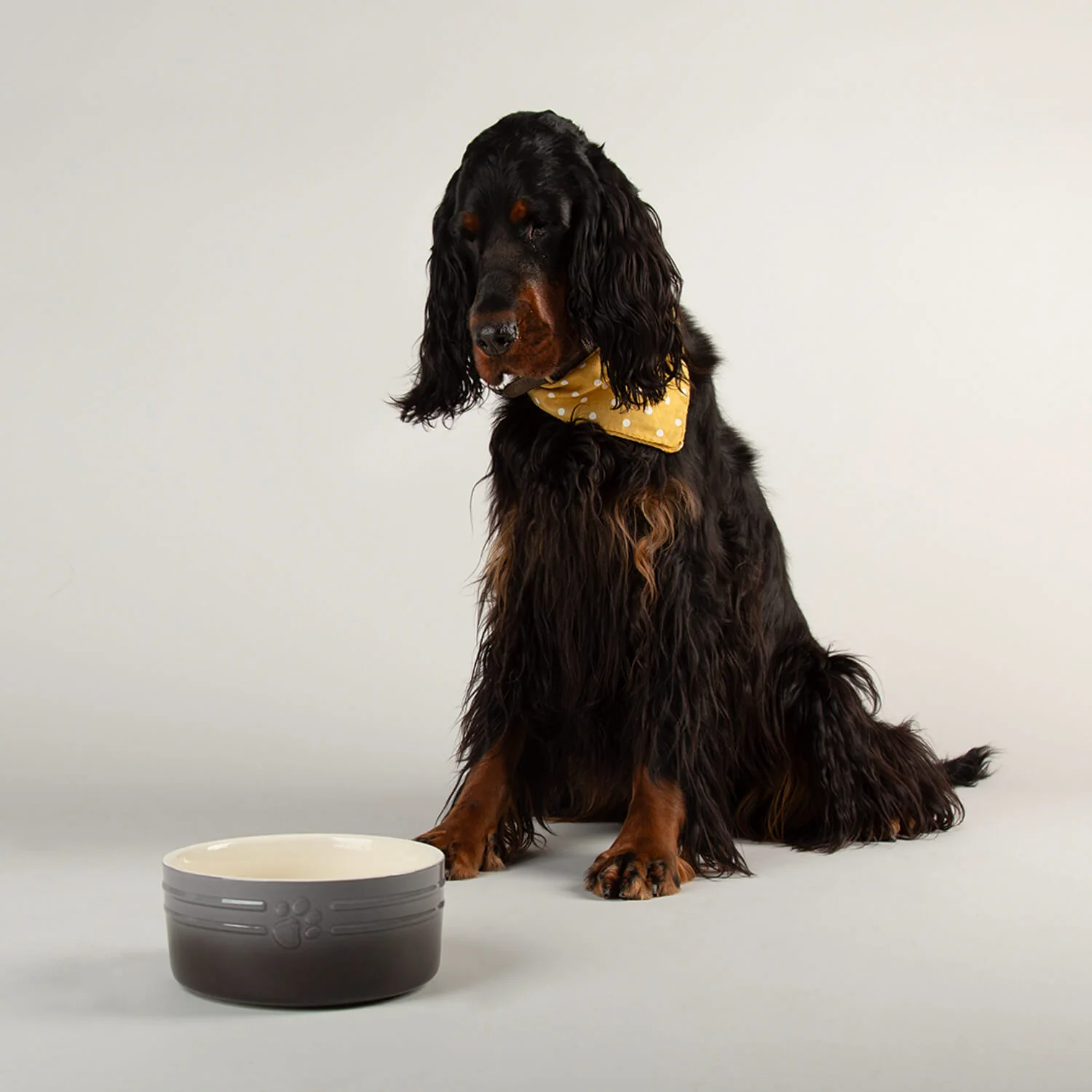 Scruffs Ombré 19cm Stoneware Pet Bowl - Grey - Image 3