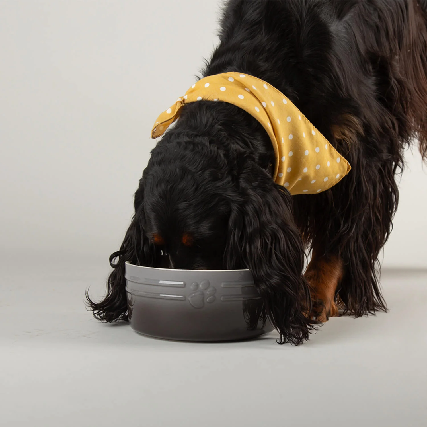 Scruffs Ombré 19cm Stoneware Pet Bowl - Grey - Image 4