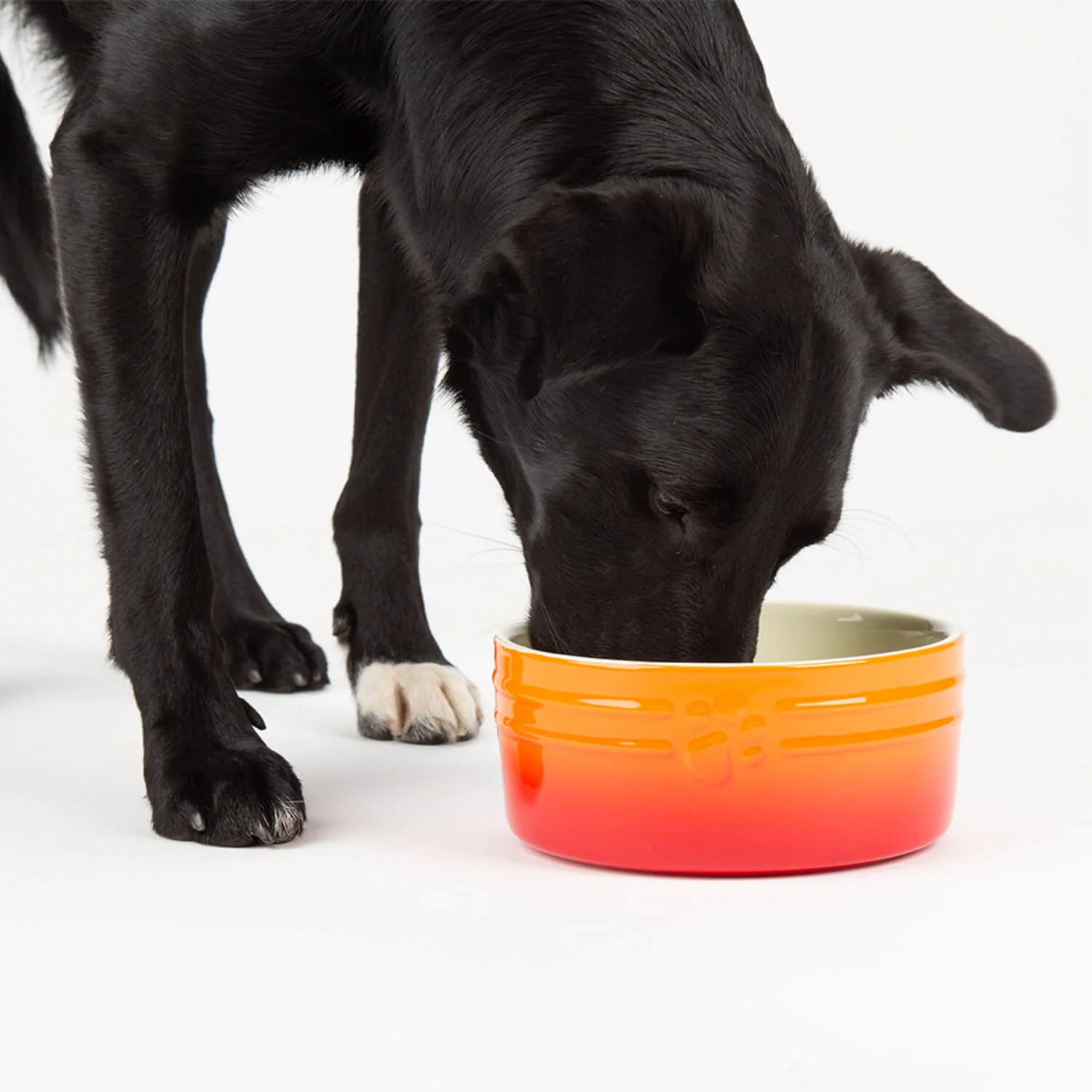 Scruffs Ombré 19cm Stoneware Pet Bowl - Orange - Image 3
