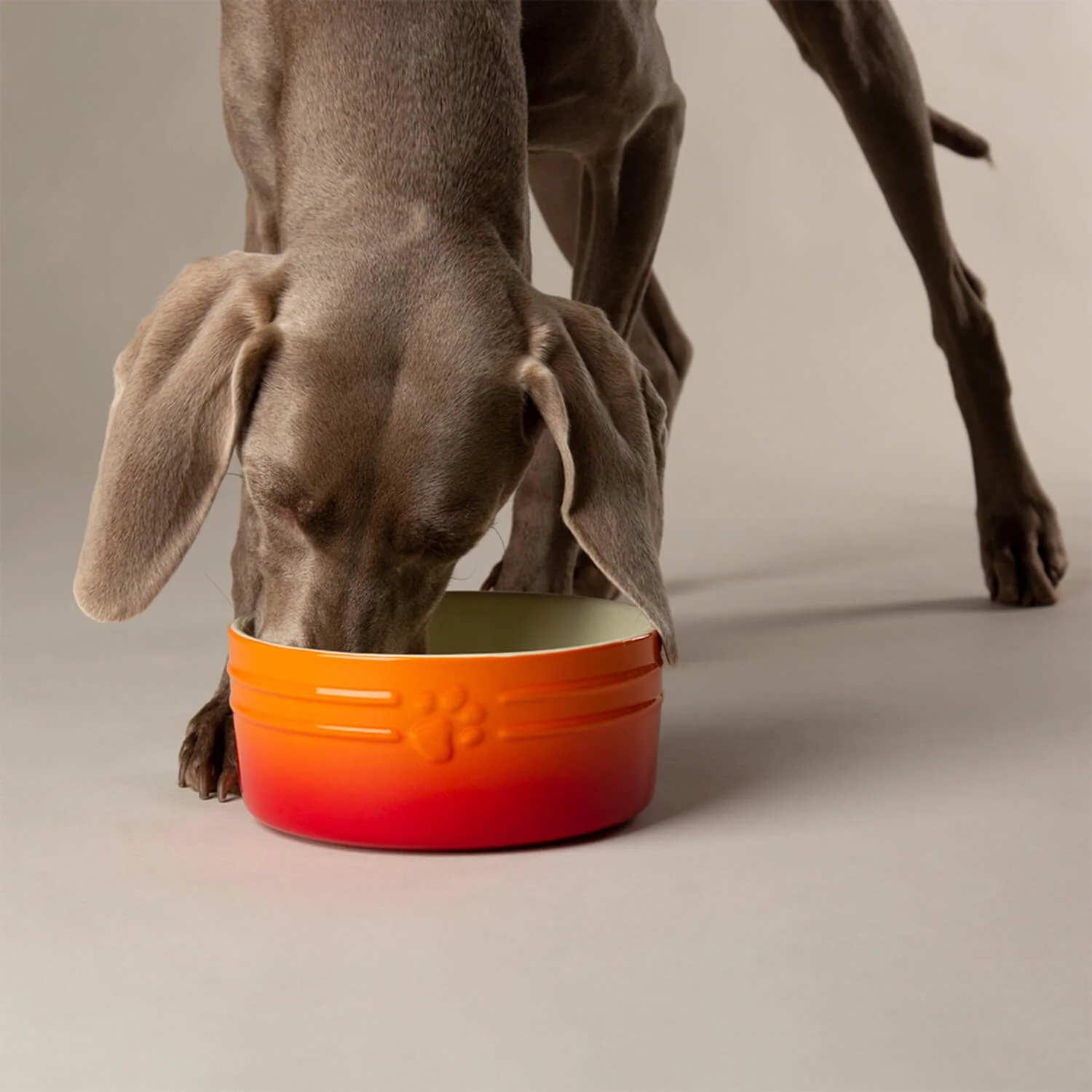 Scruffs Ombré 19cm Stoneware Pet Bowl - Orange - Image 6