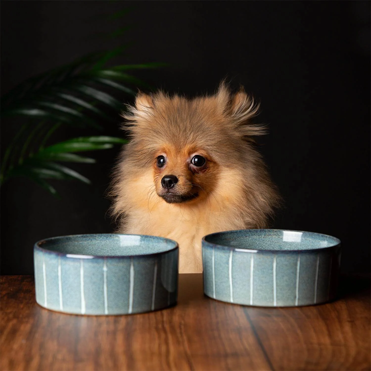 Scruffs Reactive Glaze 13cm Stoneware Food/Water Pet Bowl - Pinstripe Graphite - Image 4