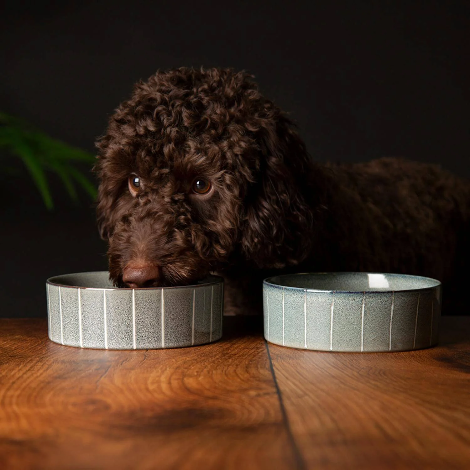 Scruffs Reactive Glaze 15cm Stoneware Food/Water Pet Bowl - Pinstripe Graphite - Image 4