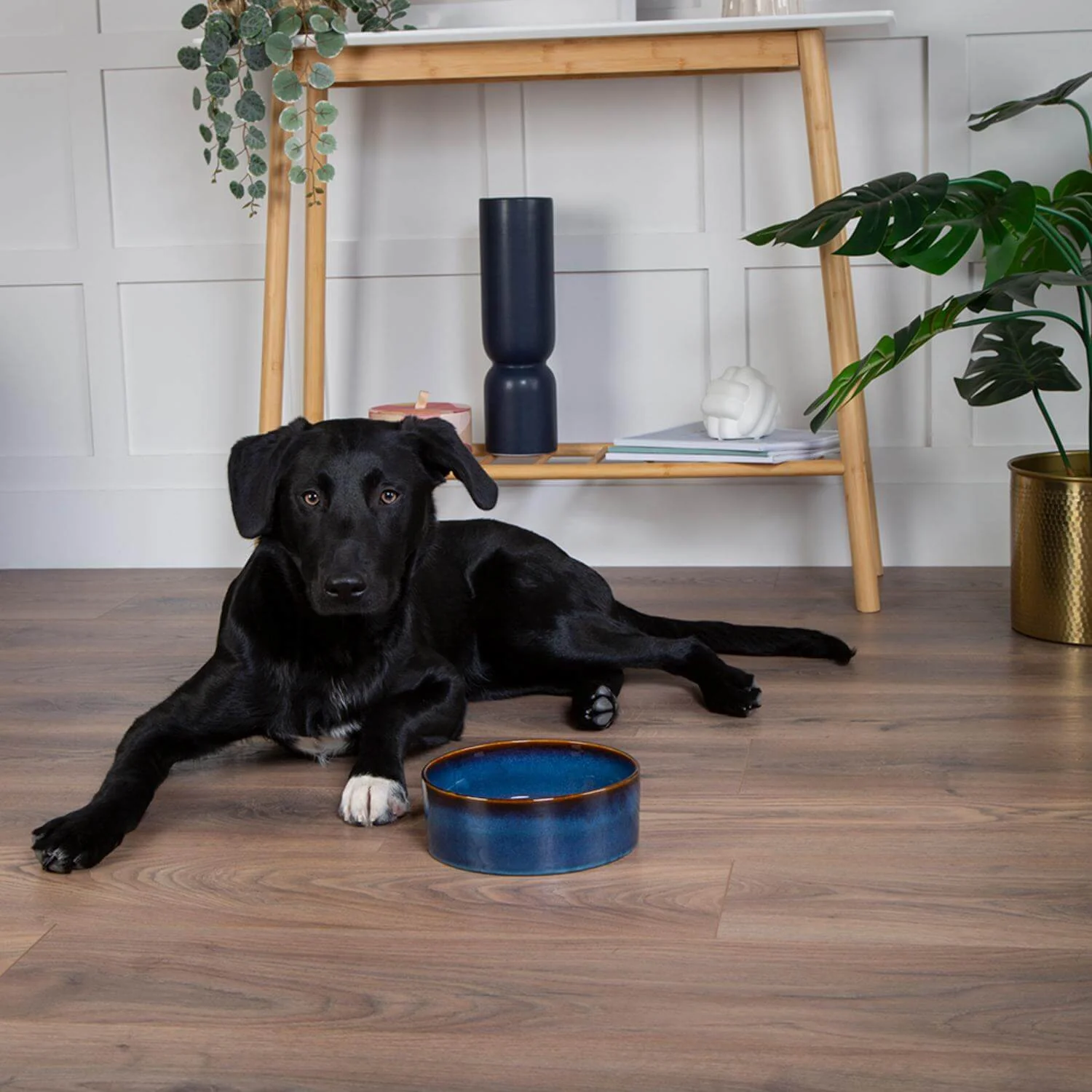 Scruffs Reactive Glaze 19cm Stoneware Food/Water Bowl - Midnight Blue - Image 2