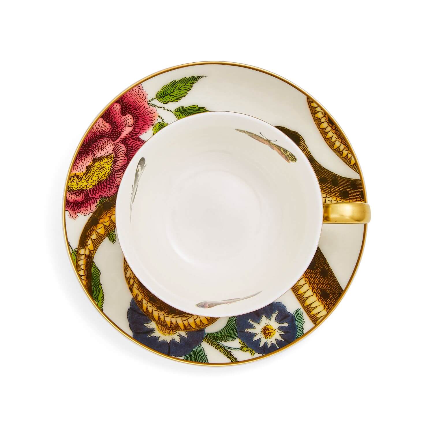 Spode Creatures of Curiosity Coupe Tea Cup & Saucer - Leopard / Snake - Image 2