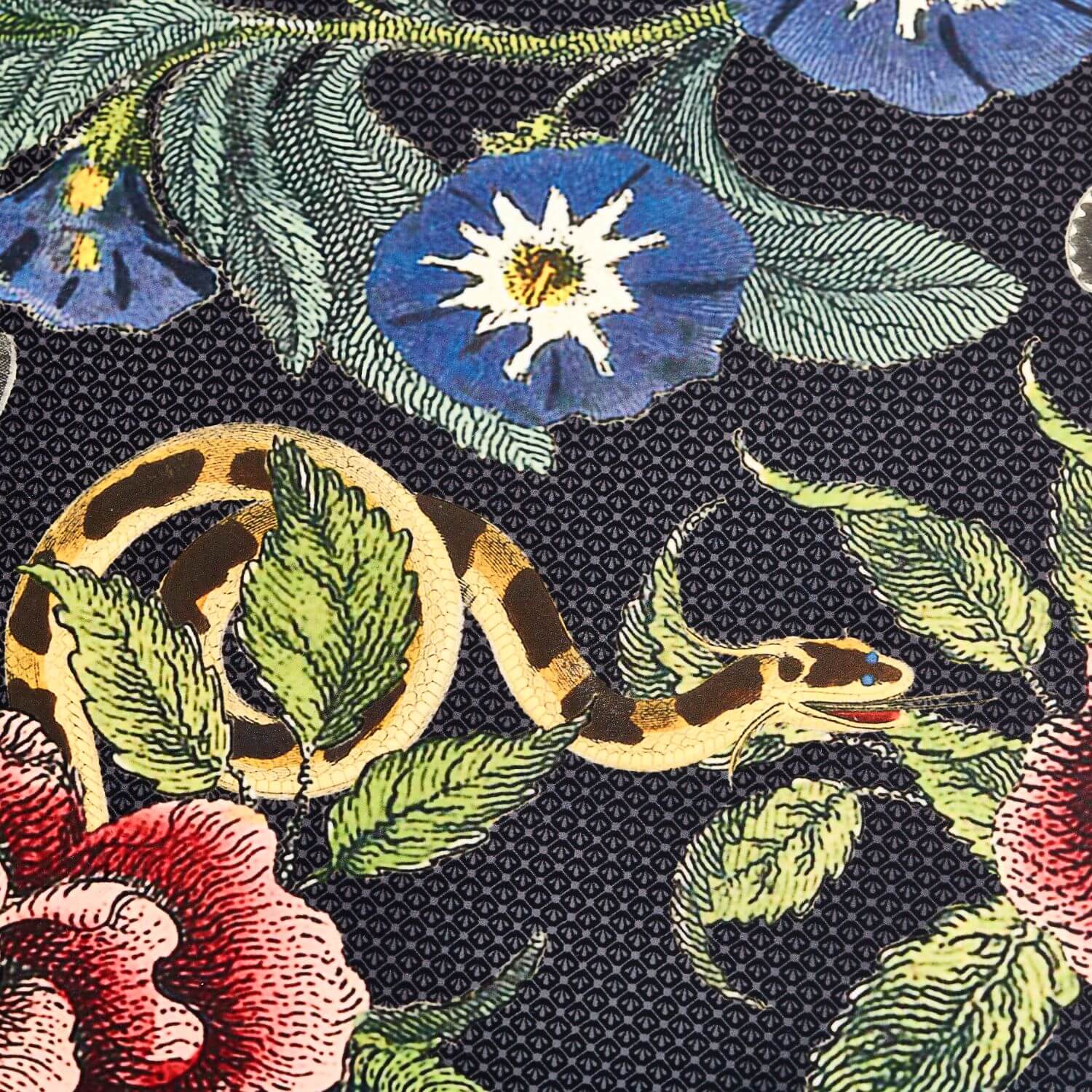 Spode Creatures of Curiosity Placemats - Set of 4 - Image 6