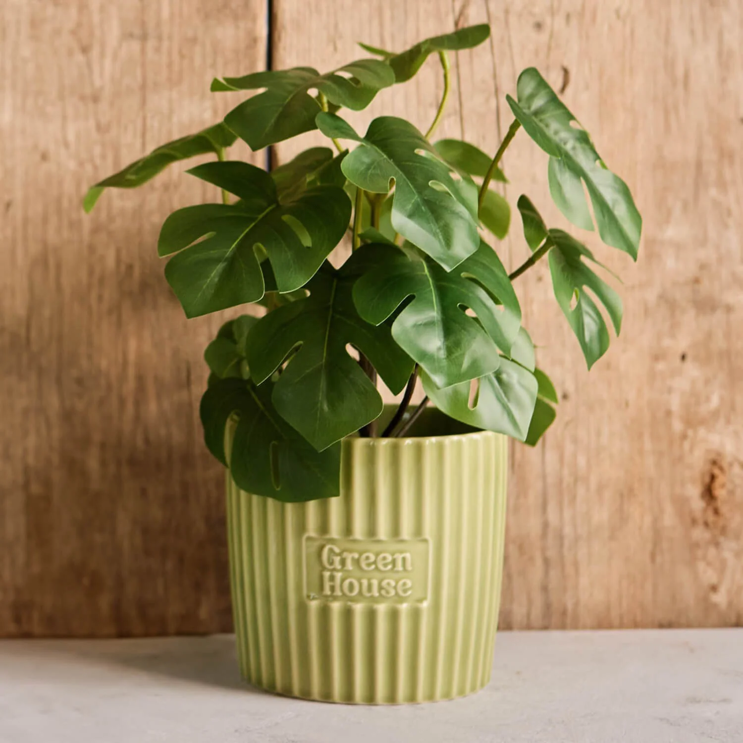 T&G Green House Large Plant Pot - Image 2
