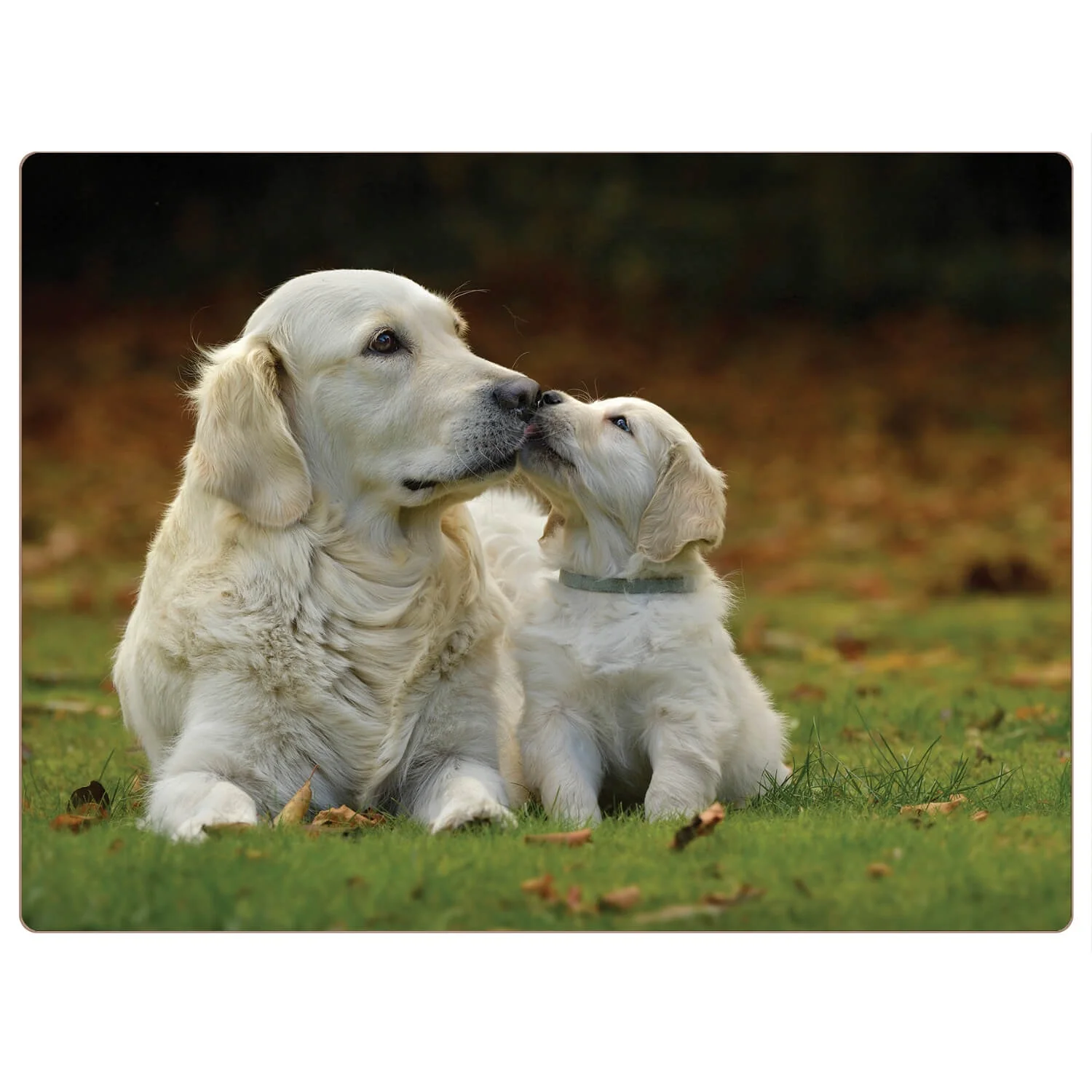 iStyle Rural Roots 4 Piece Rectangular Placemat Set - Golden Retriever