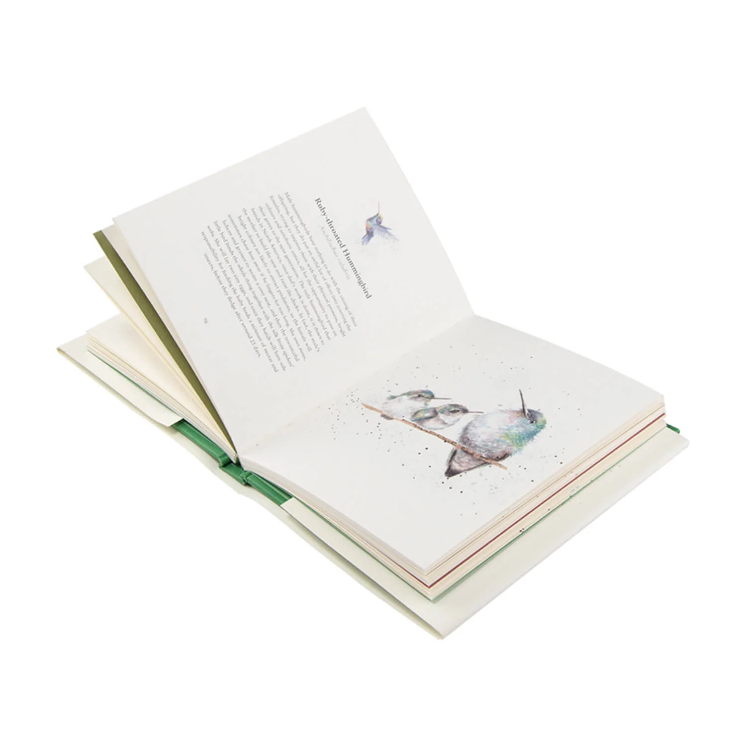 Wrendale Designs Book by Hannah Dale - Born To Be Wild - Image 4