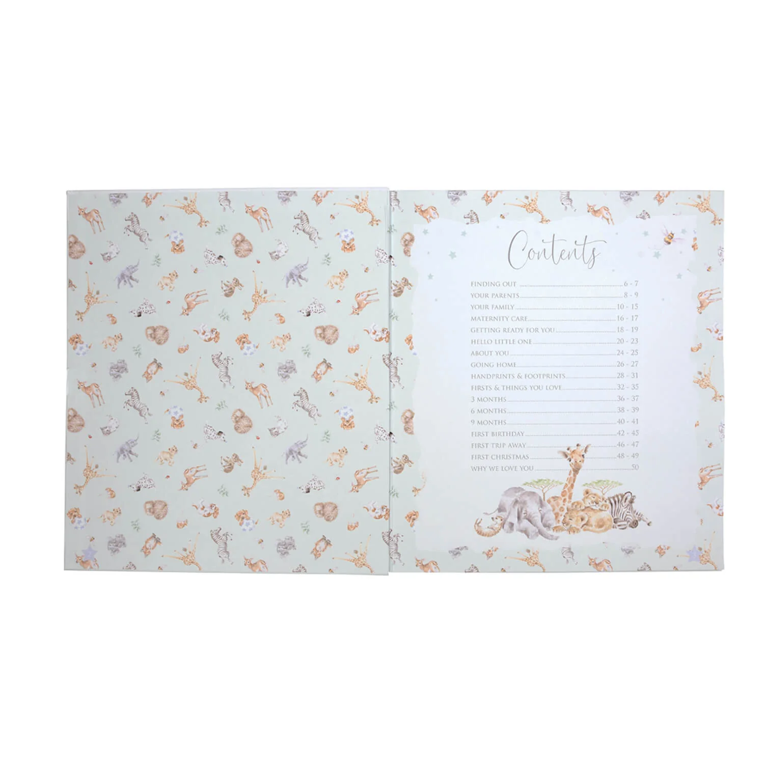 Wrendale Designs by Hannah Dale Little Wren Baby Record Book - Image 2