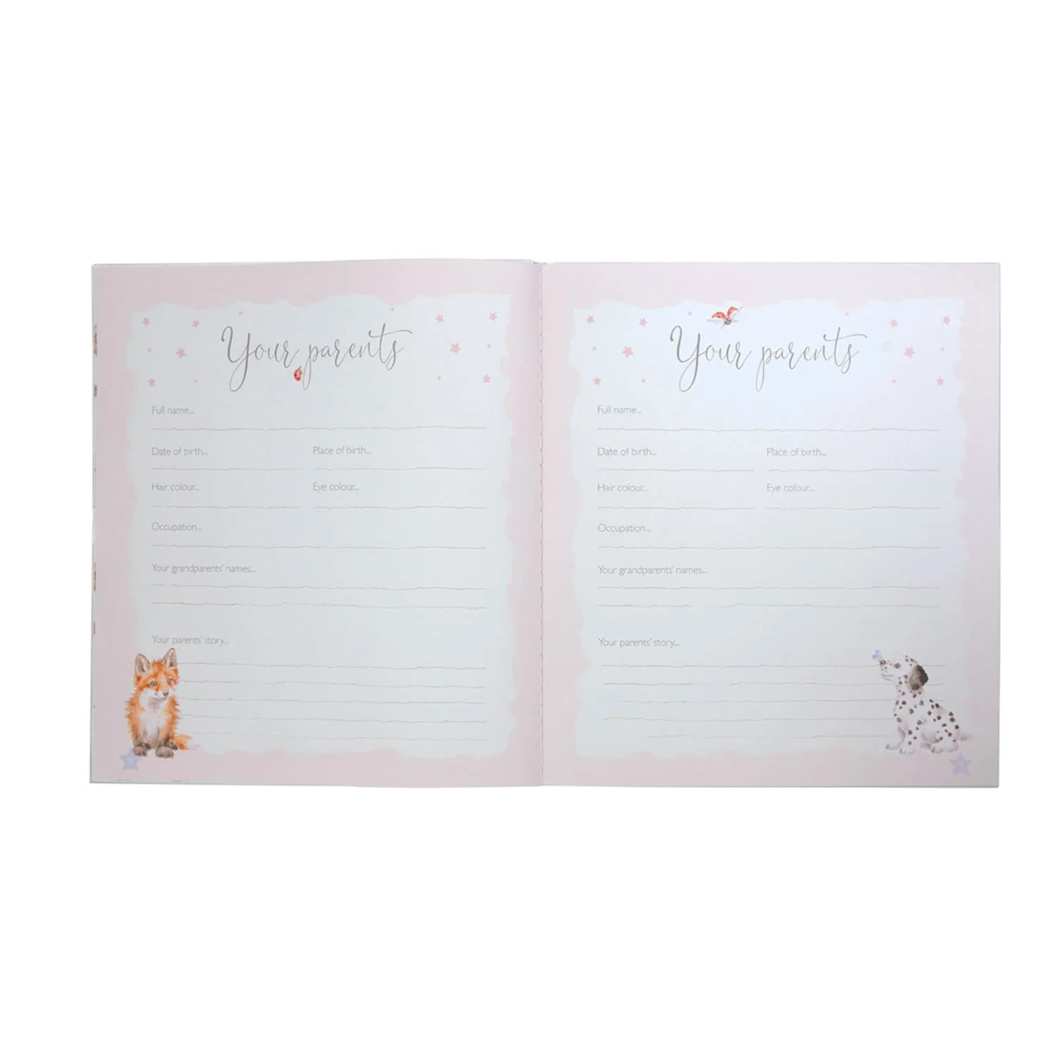 Wrendale Designs by Hannah Dale Little Wren Baby Record Book - Image 3