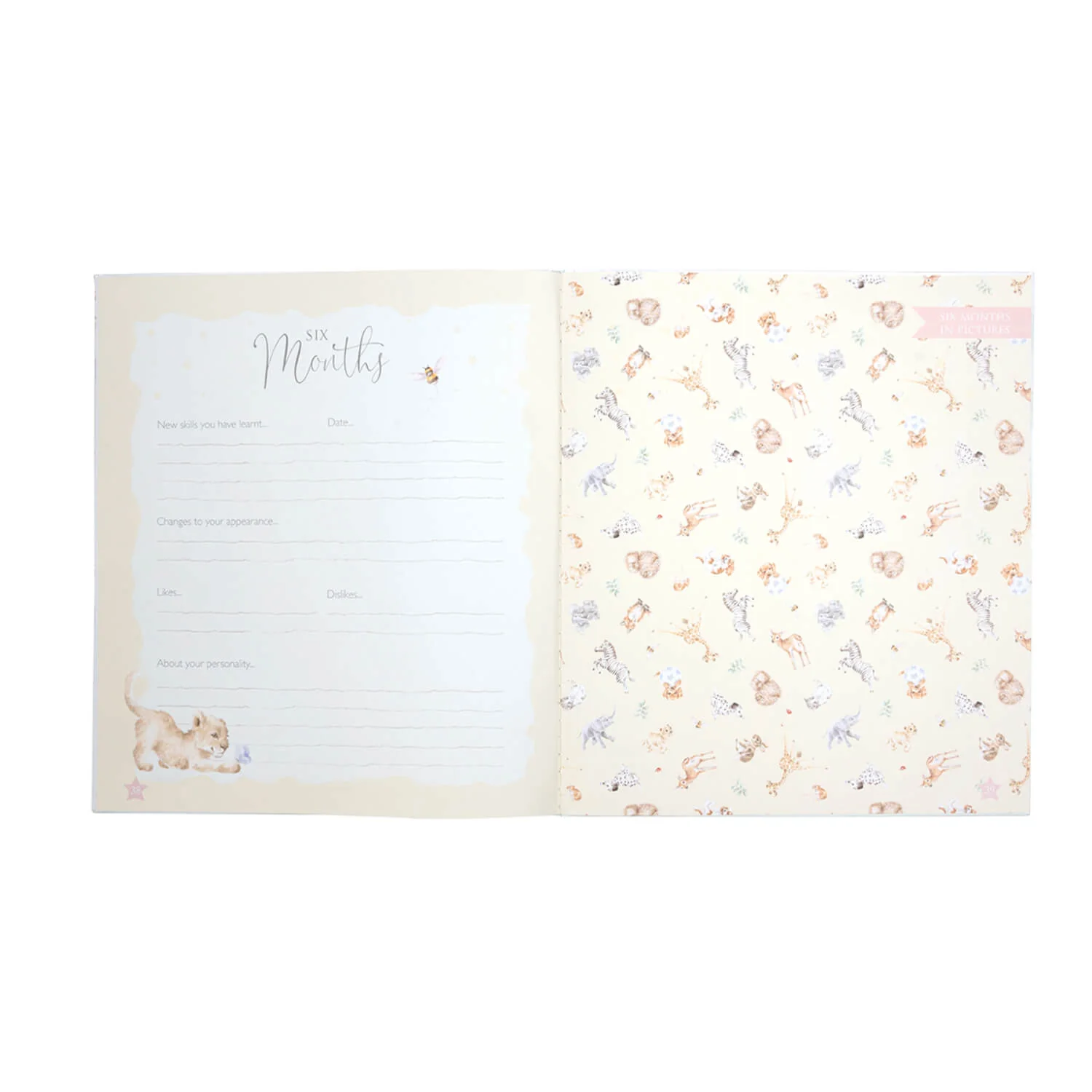 Wrendale Designs by Hannah Dale Little Wren Baby Record Book - Image 4