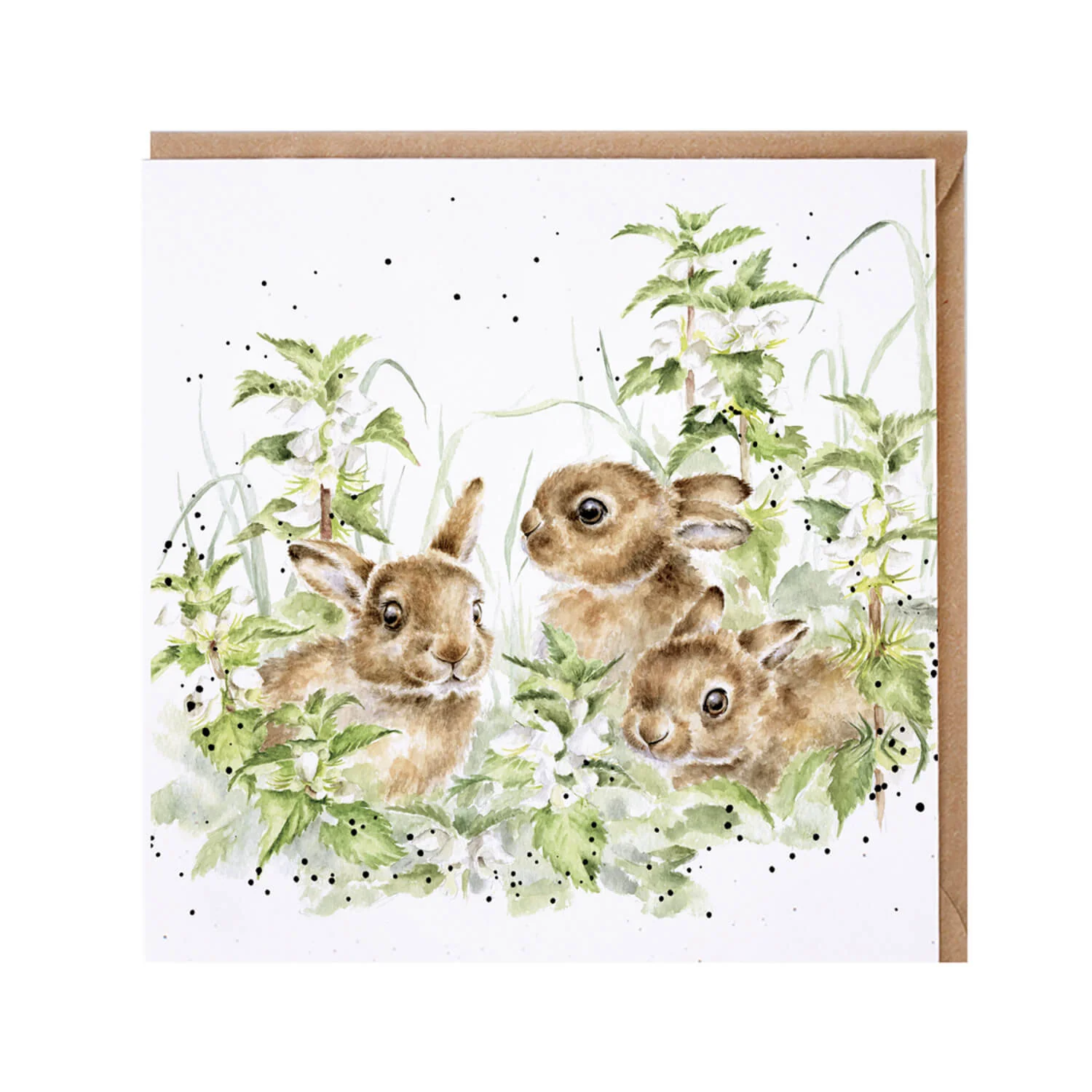 Wrendale Designs by Hannah Dale Card - Spring Hares