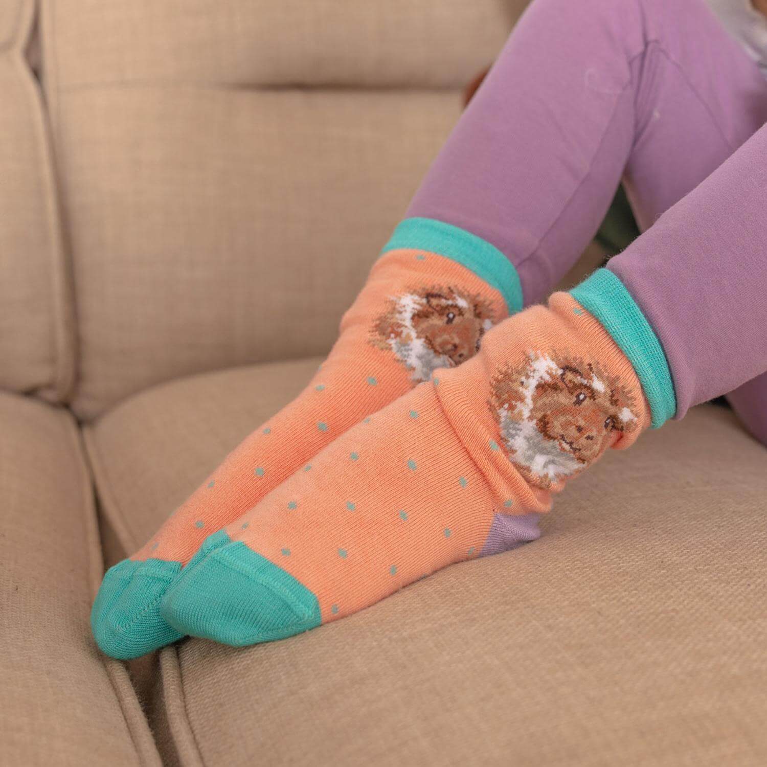 Wrendale Designs By Hannah Dale Childrens 9 to 12 Bamboo Socks - Grinny Pig - Image 3