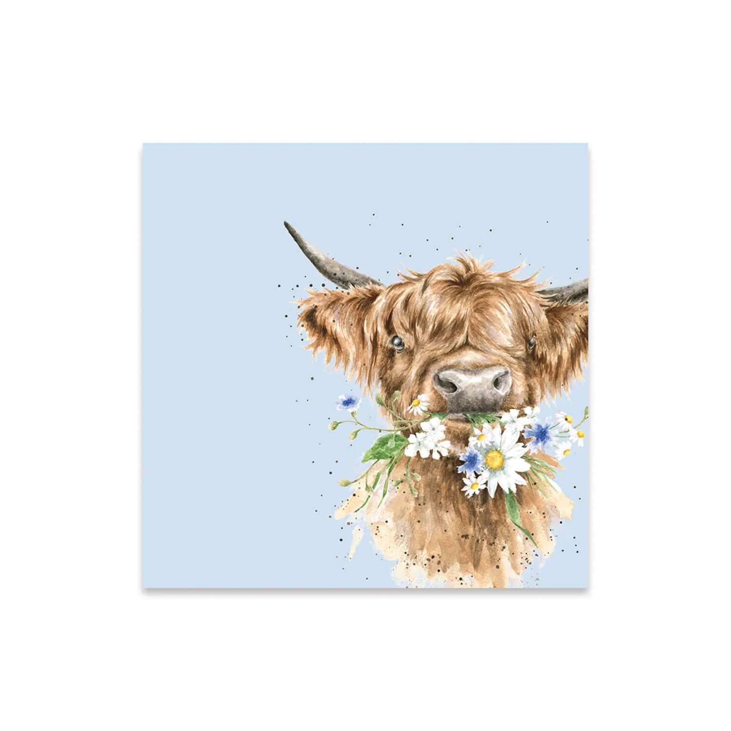 Wrendale Designs by Hannah Dale Cocktail Napkins - Daisy Coo