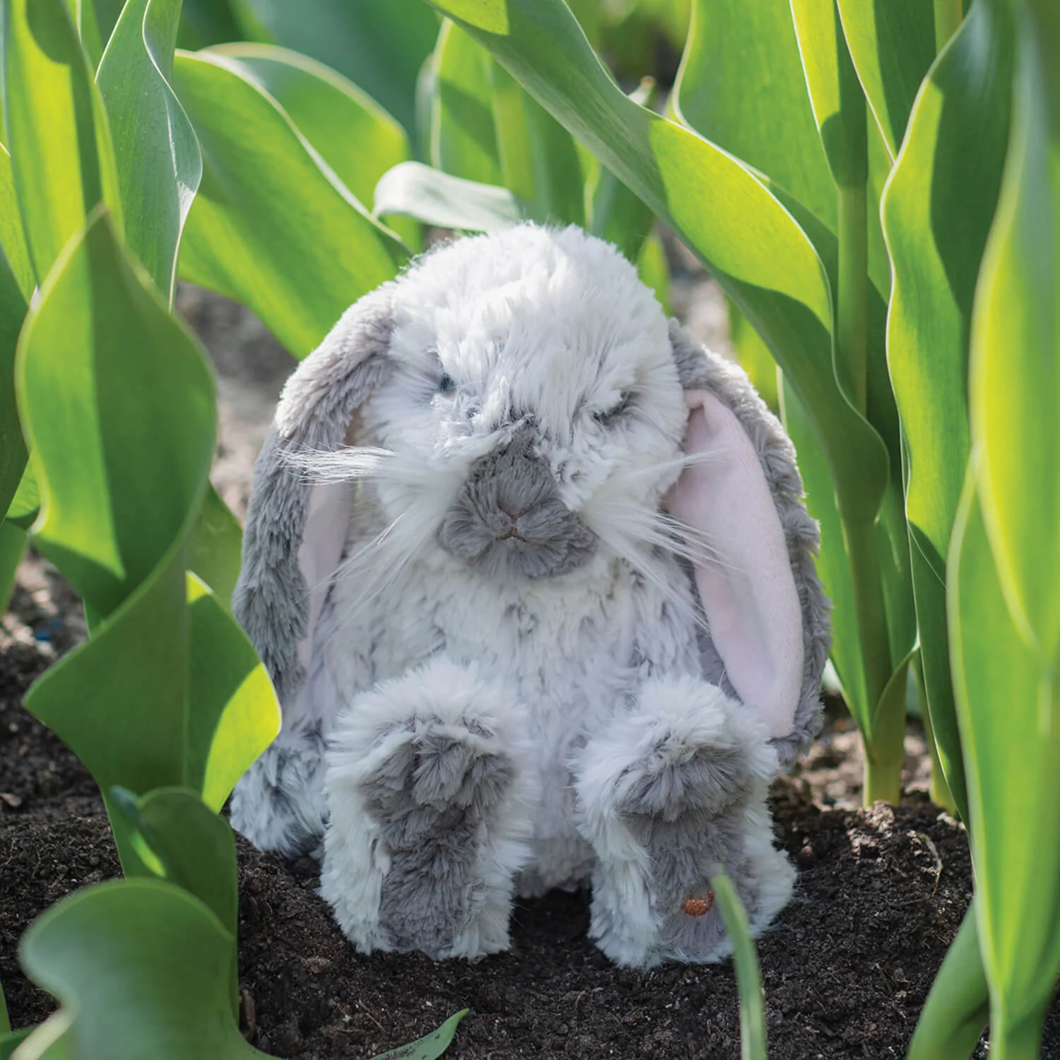 Wrendale Designs by Hannah Dale Junior Plush Toy - Rosie Rabbit - Image 2