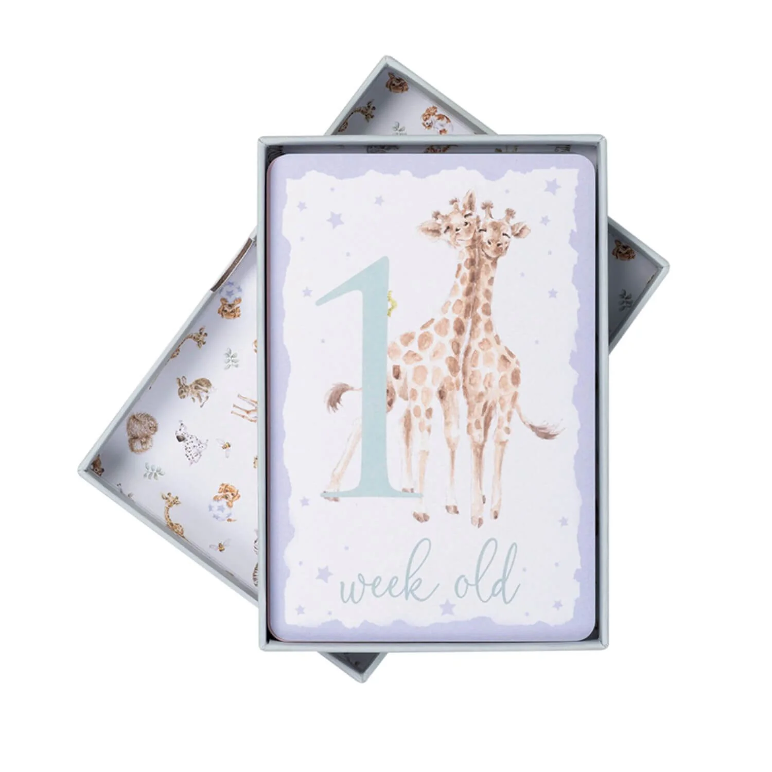 Wrendale Designs by Hannah Dale Little Wren Milestone Cards - Image 6