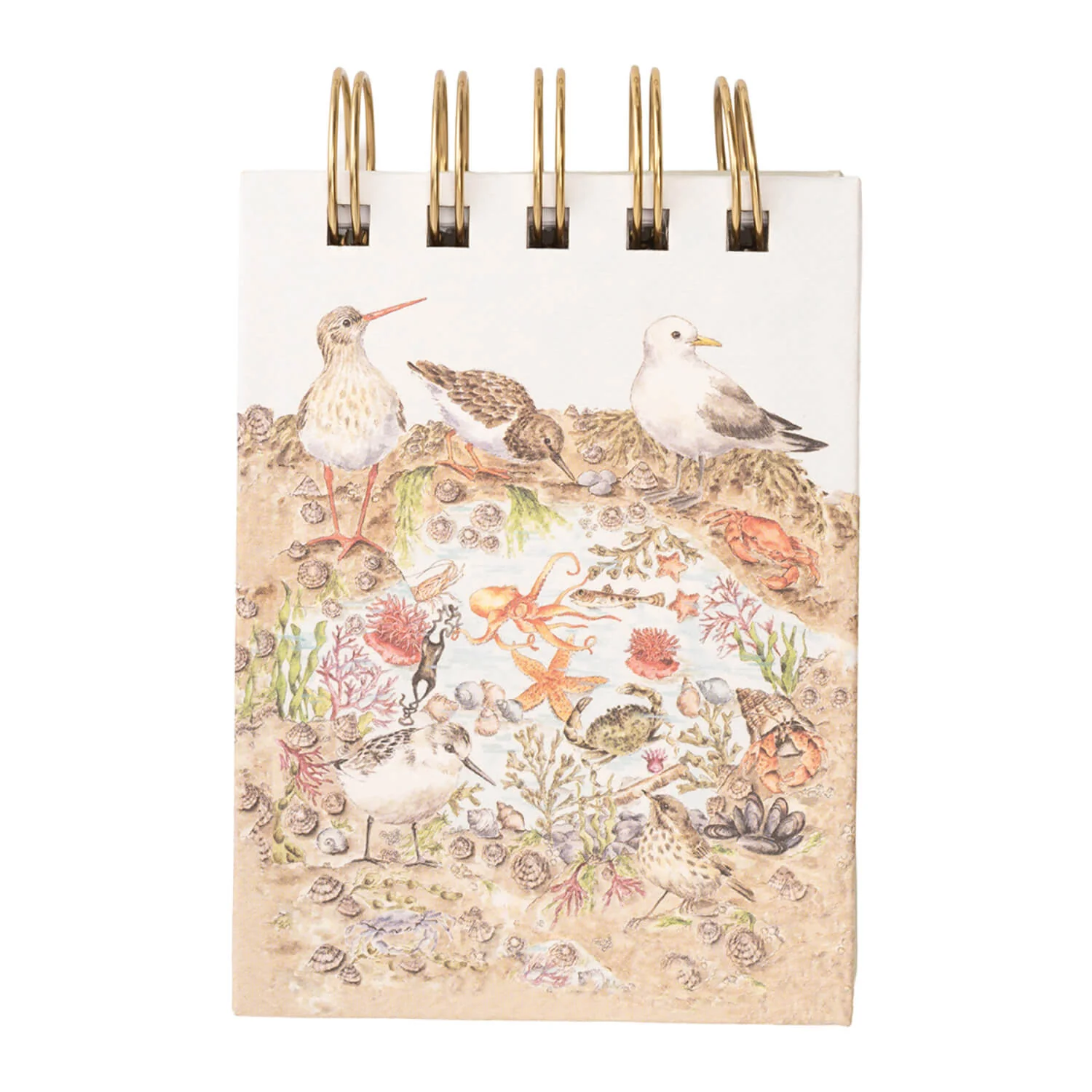 Wrendale Designs by Hannah Dale Nature Field Notebook - Secrets of the Sea - Image 2