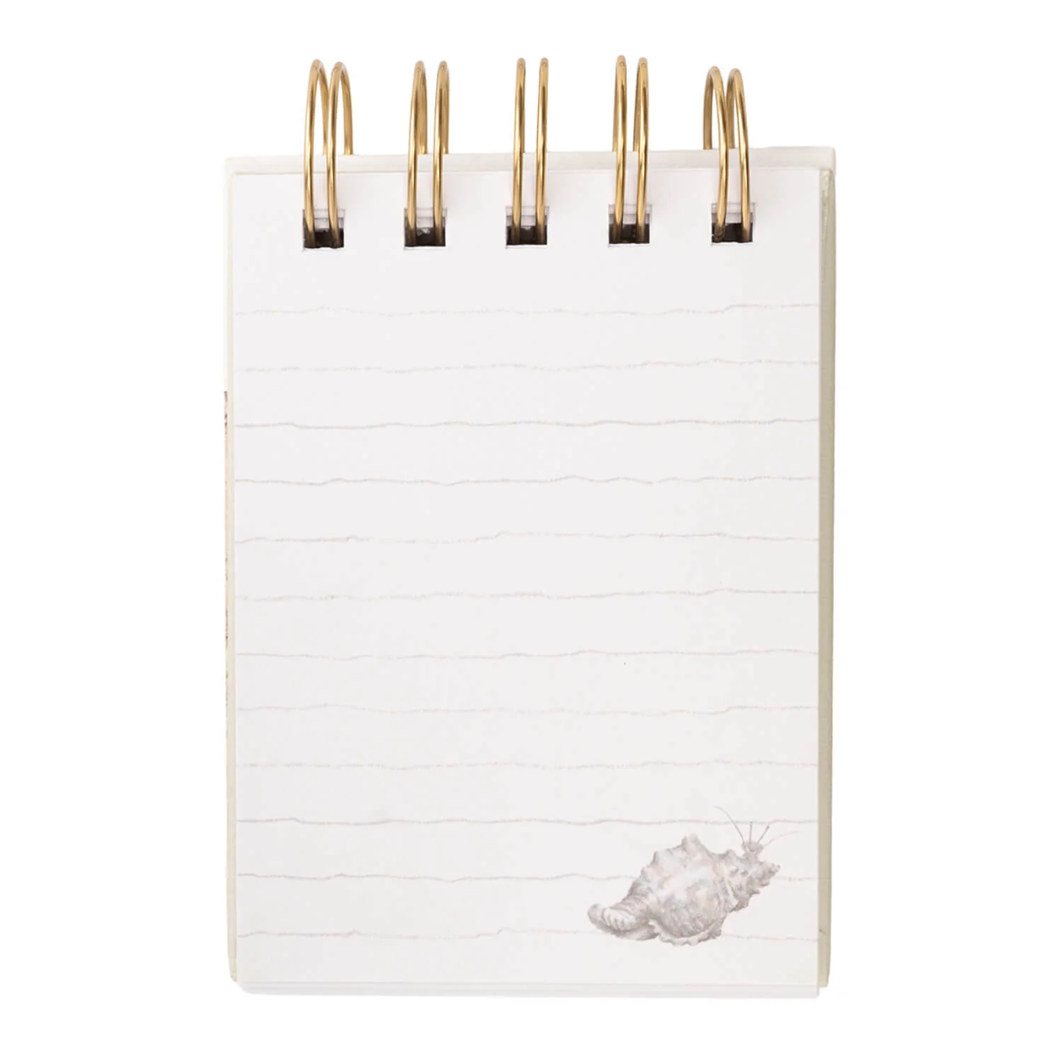 Wrendale Designs by Hannah Dale Nature Field Notebook - Secrets of the Sea - Image 4