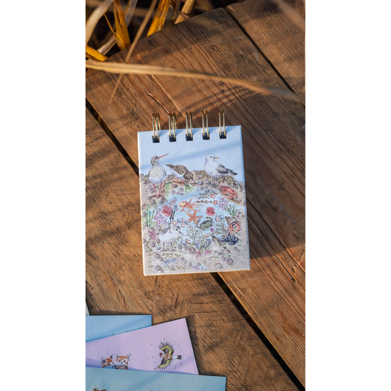 Wrendale Designs by Hannah Dale Nature Field Notebook - Secrets of the Sea - Image 8