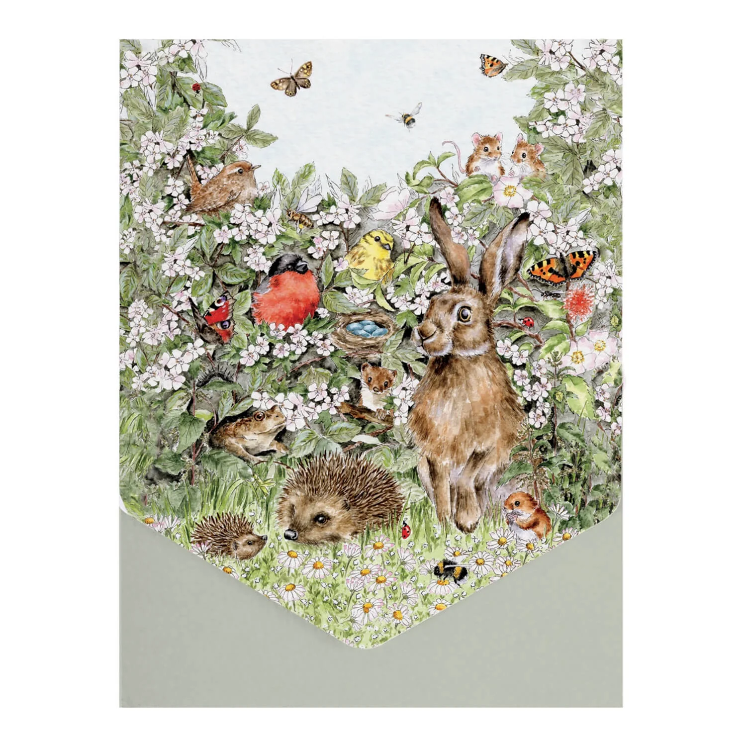 Wrendale Designs by Hannah Dale Nature Notecard Pack - Hidden in the Hedgerow