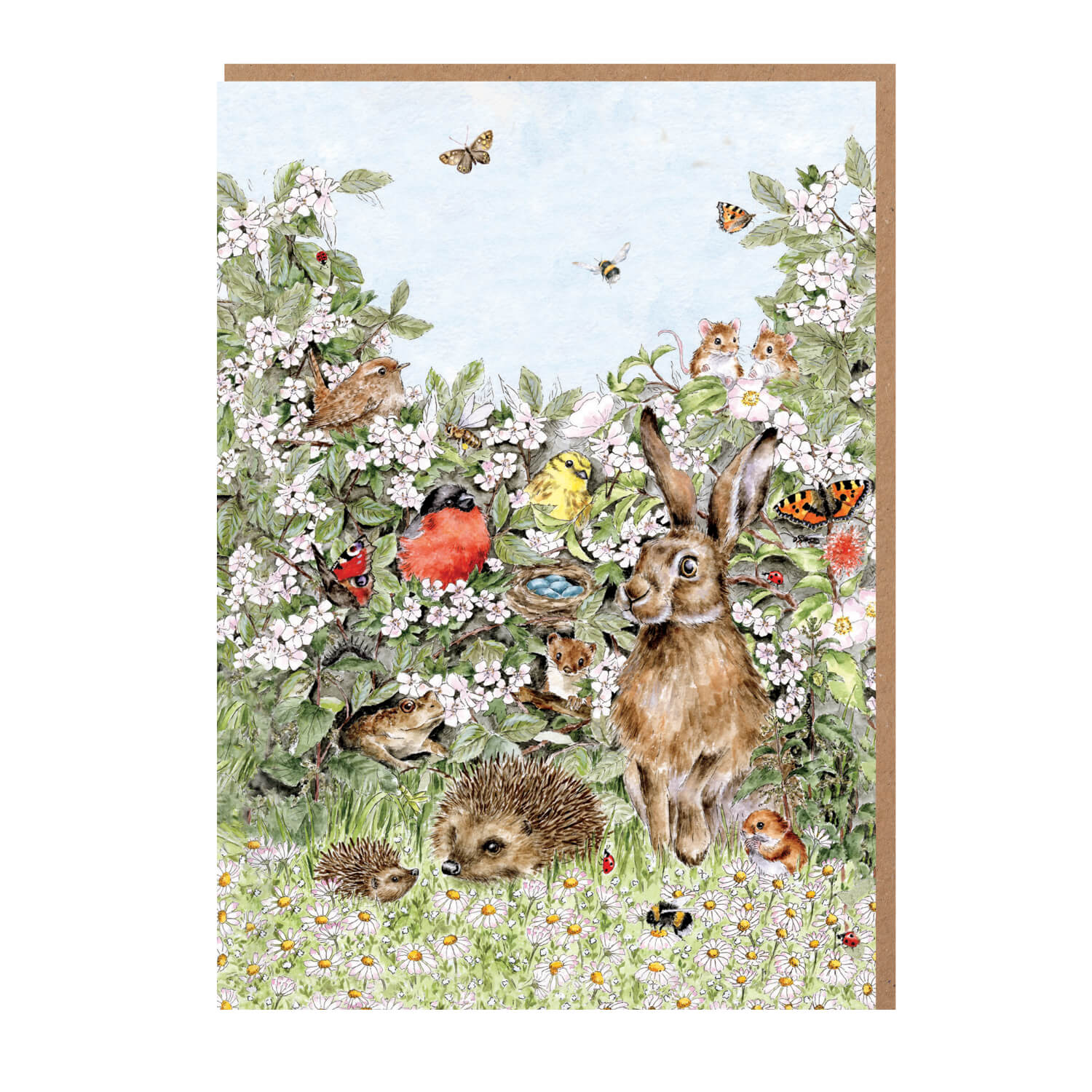 Wrendale Designs by Hannah Dale Nature Notecard Pack - Hidden in the Hedgerow - Image 2
