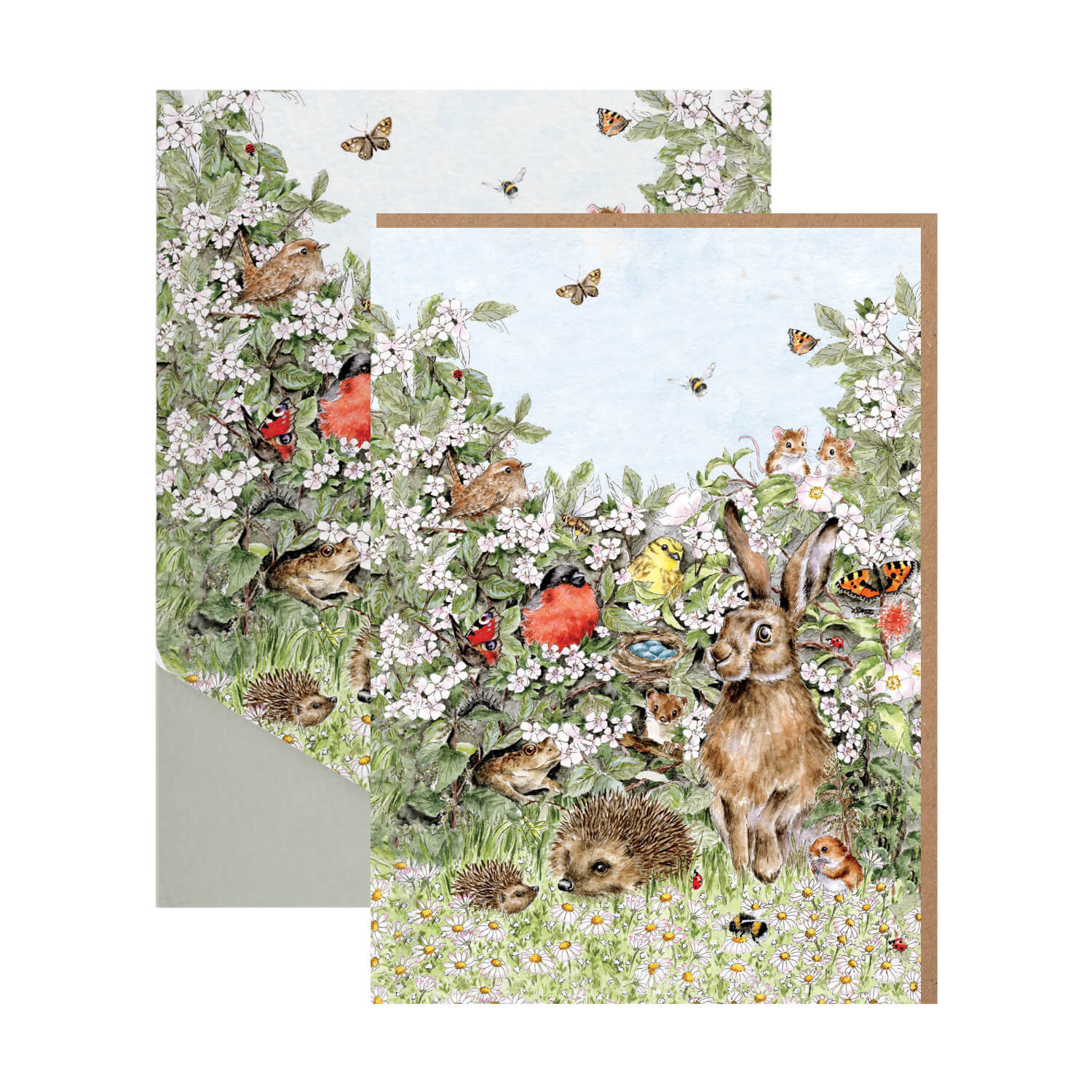 Wrendale Designs by Hannah Dale Nature Notecard Pack - Hidden in the Hedgerow - Image 3