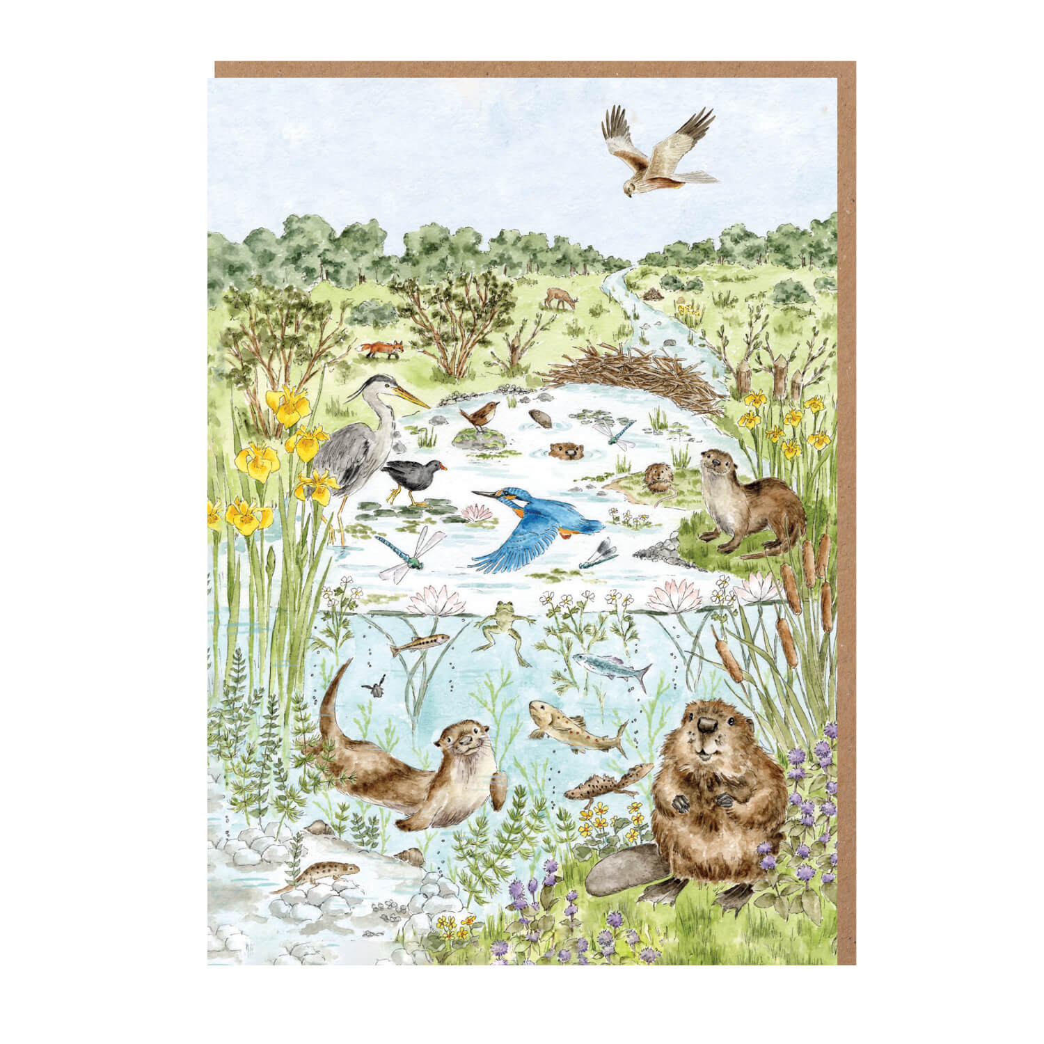 Wrendale Designs by Hannah Dale Nature Notecard Pack - The Riverbank - Image 2