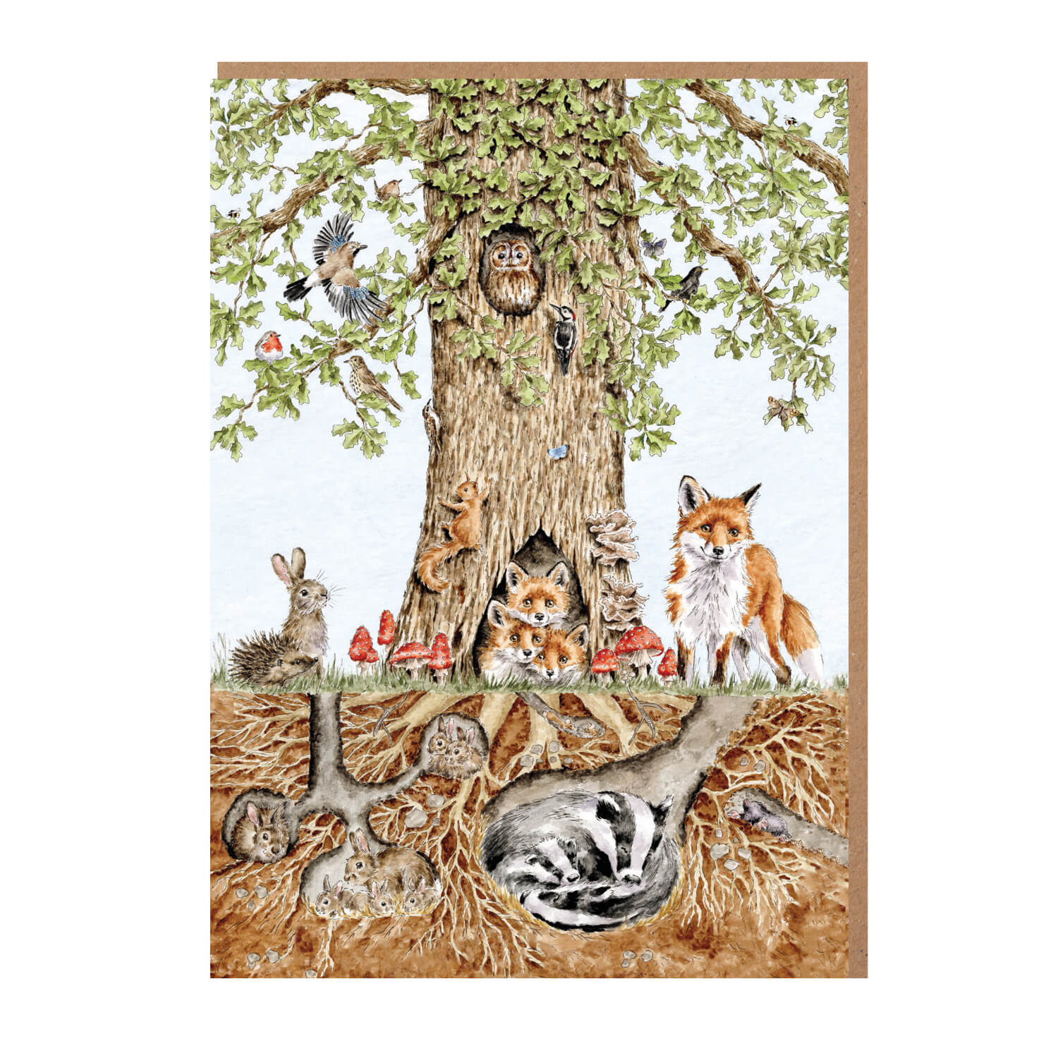 Wrendale Designs by Hannah Dale Nature Notecard Pack - Wild Woodland - Image 2
