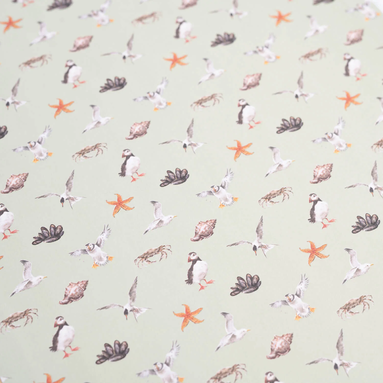 Wrendale Designs by Hannah Dale Nature A4 Sketchbook - Secrets of the Sea - Image 5