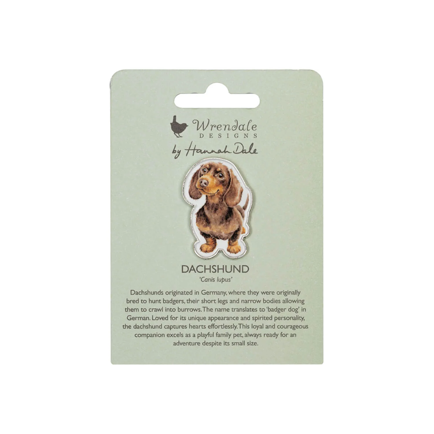 Wrendale Designs by Hannah Dale Pin Badge - Little Sausage - Dog - Image 2