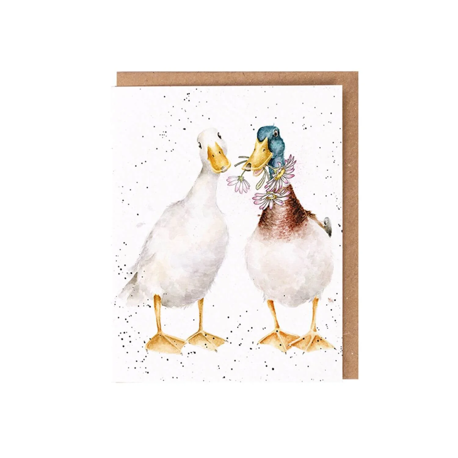 Wrendale Designs by Hannah Dale Seed Card - Not A Daisy Goes By