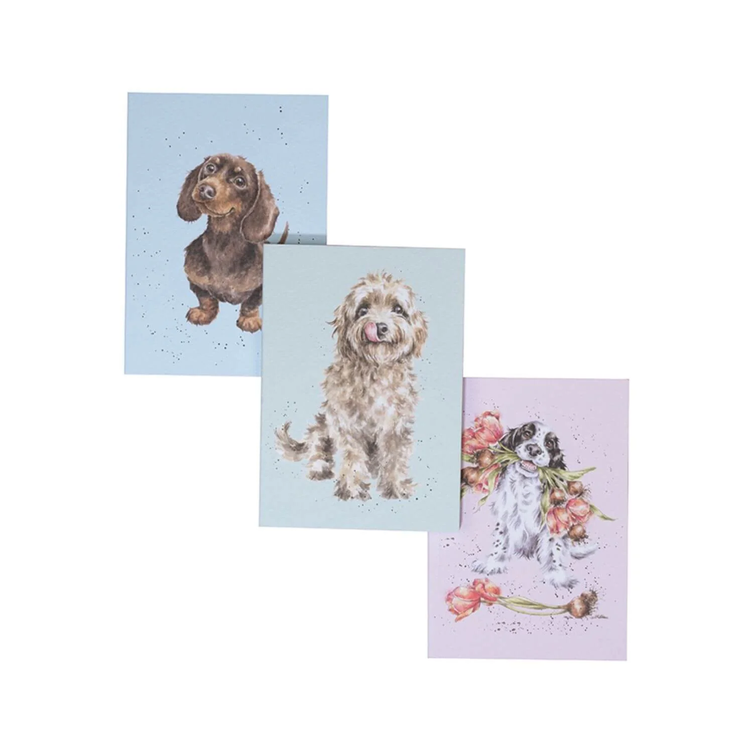 Wrendale Designs by Hannah Dale Set of 3 Notebooks - A Dogs Life - Image 3