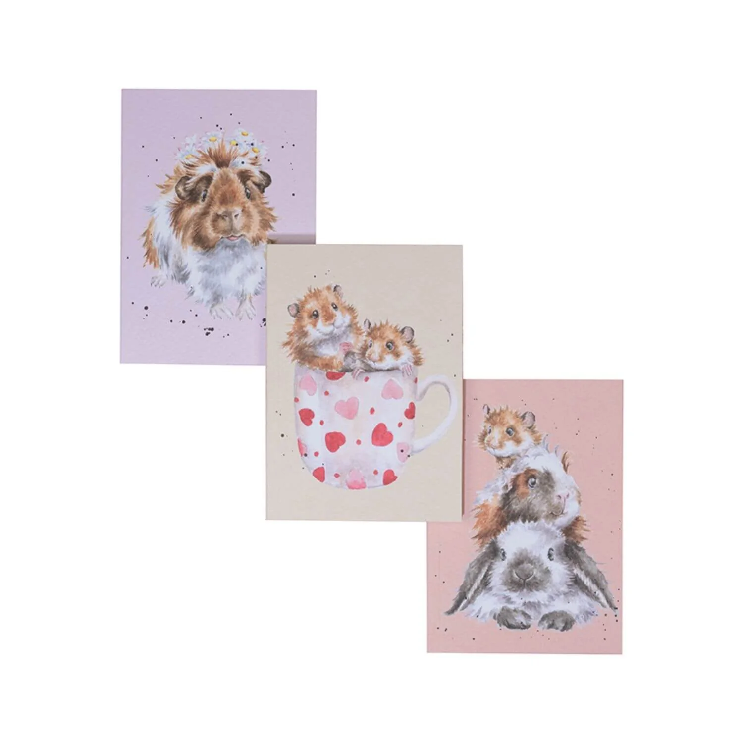 Wrendale Designs by Hannah Dale Set of 3 Notebooks - Whiskers & Paws - Image 3
