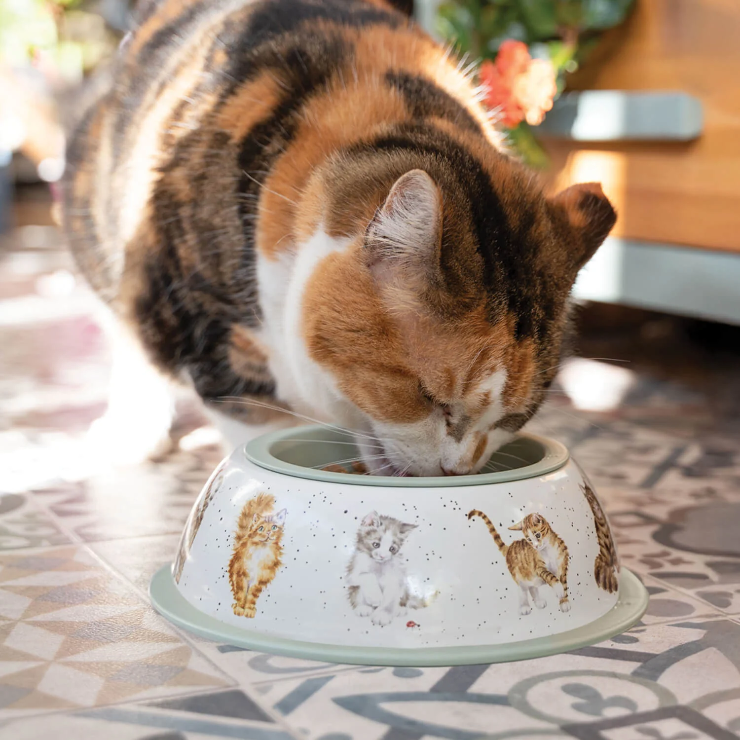 Wrendale Designs by Hannah Dale Stainless 20cm Cat Bowl - Image 3