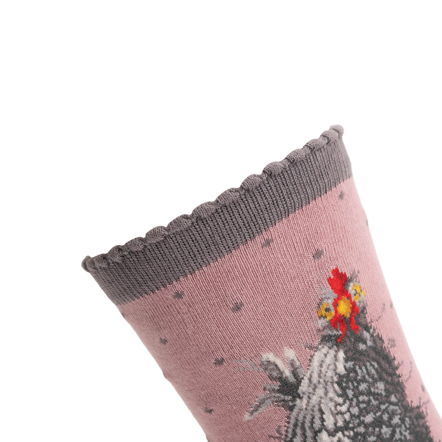 Wrendale Designs by Hannah Dale Womens Bamboo Socks - Curious Hen - Chicken - Image 5
