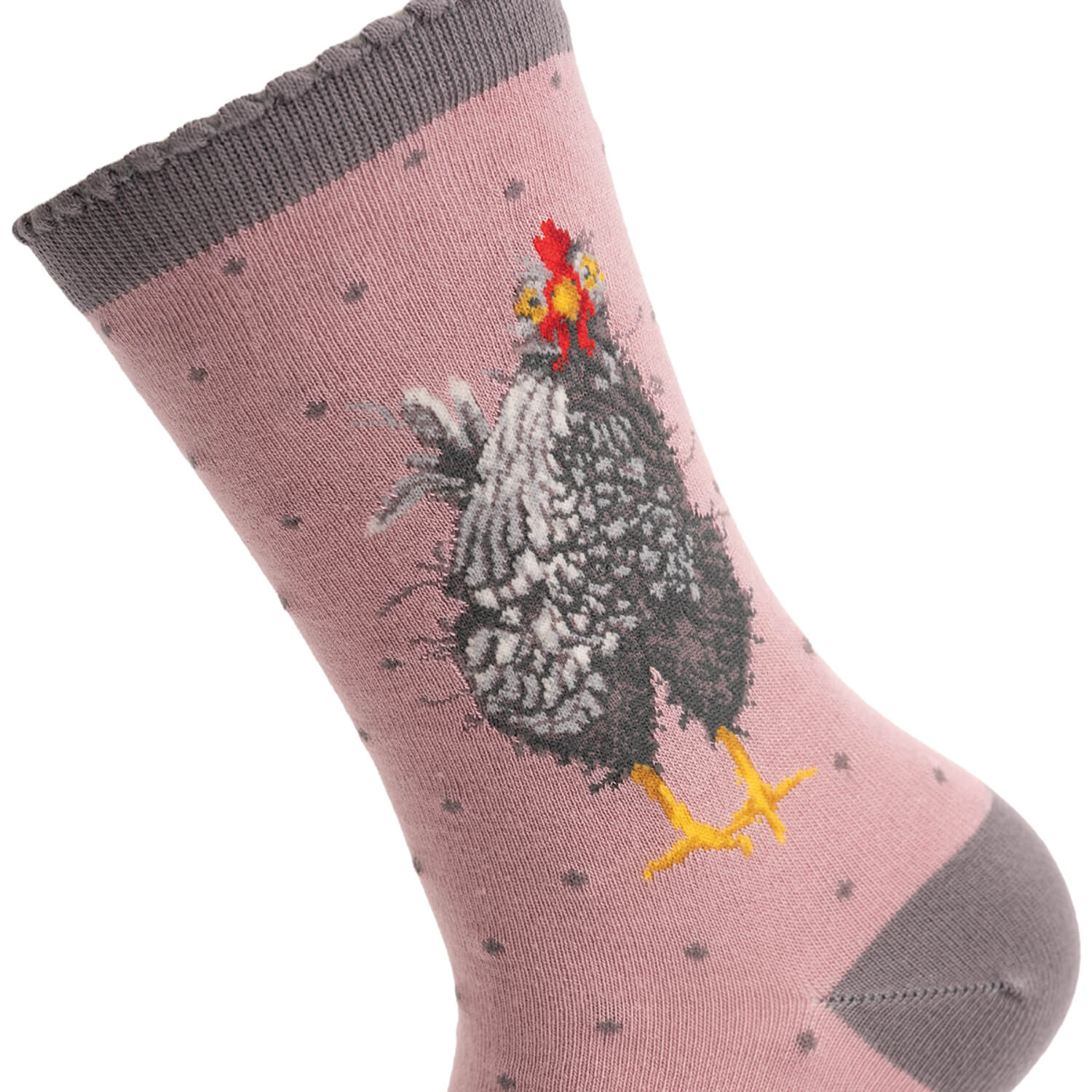 Wrendale Designs by Hannah Dale Womens Bamboo Socks - Curious Hen - Chicken - Image 6