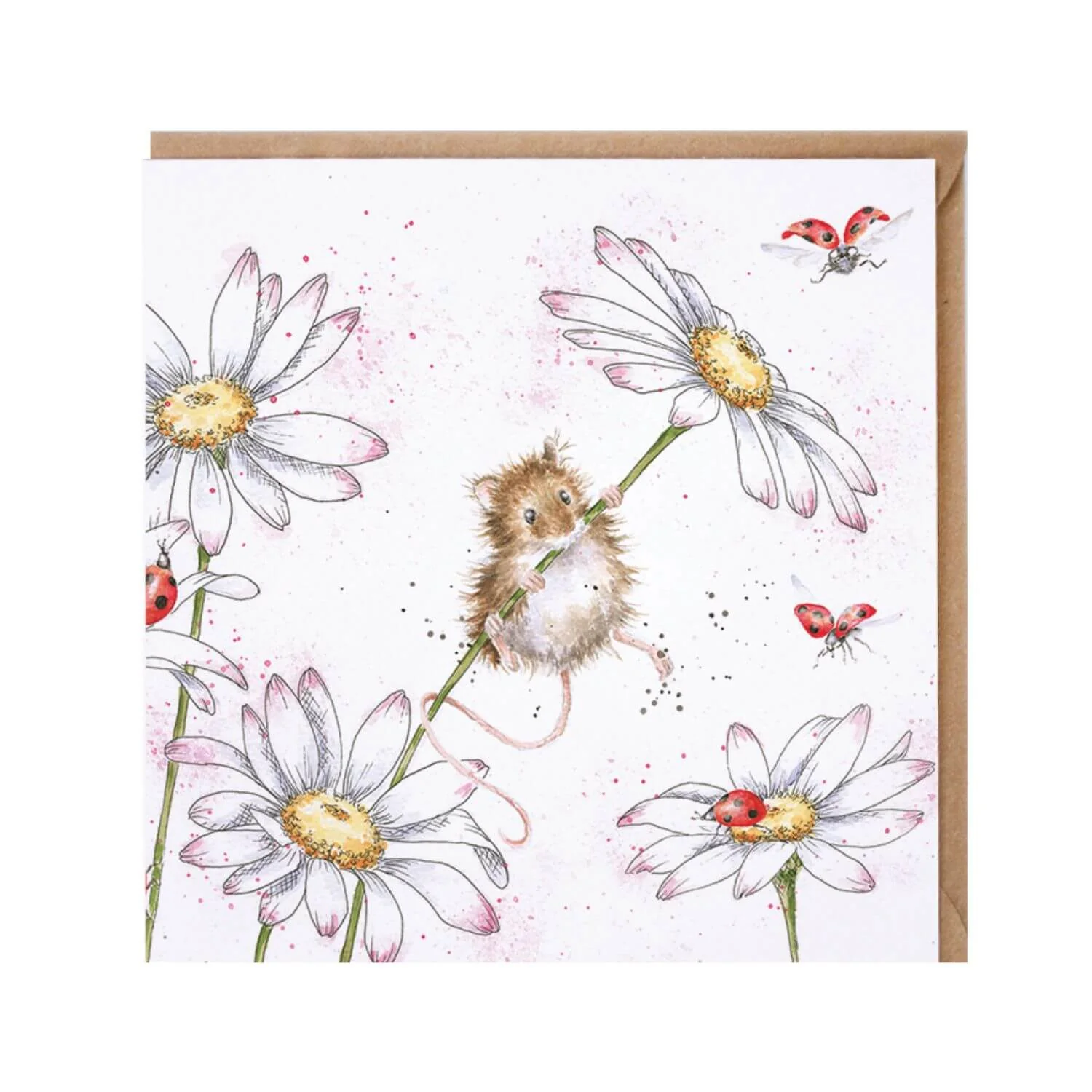 Wrendale Designs by Hannah Dale Card - Oops A Daisy