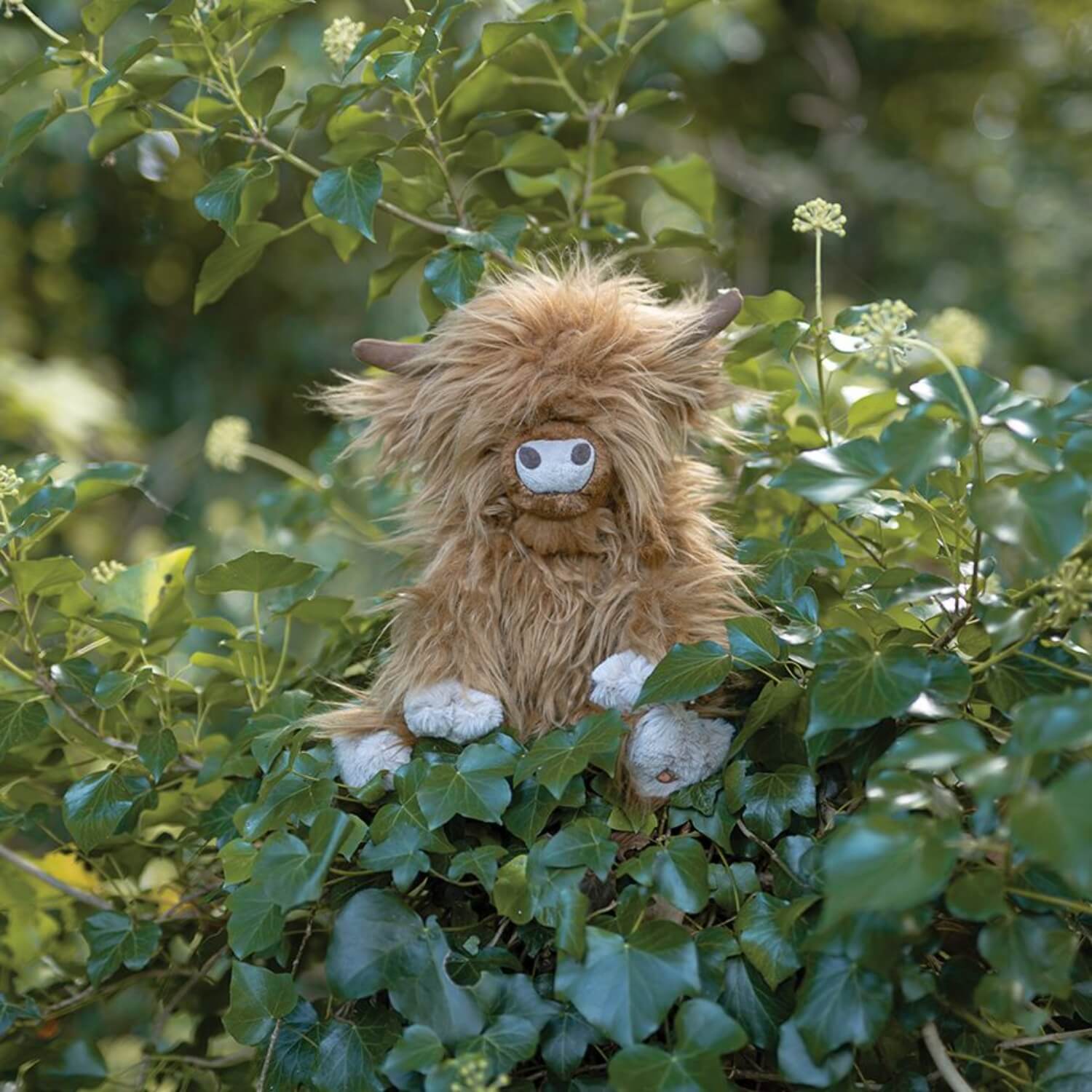 Wrendale Designs Junior Plush Toy - Gordon Highland Cow - Image 2