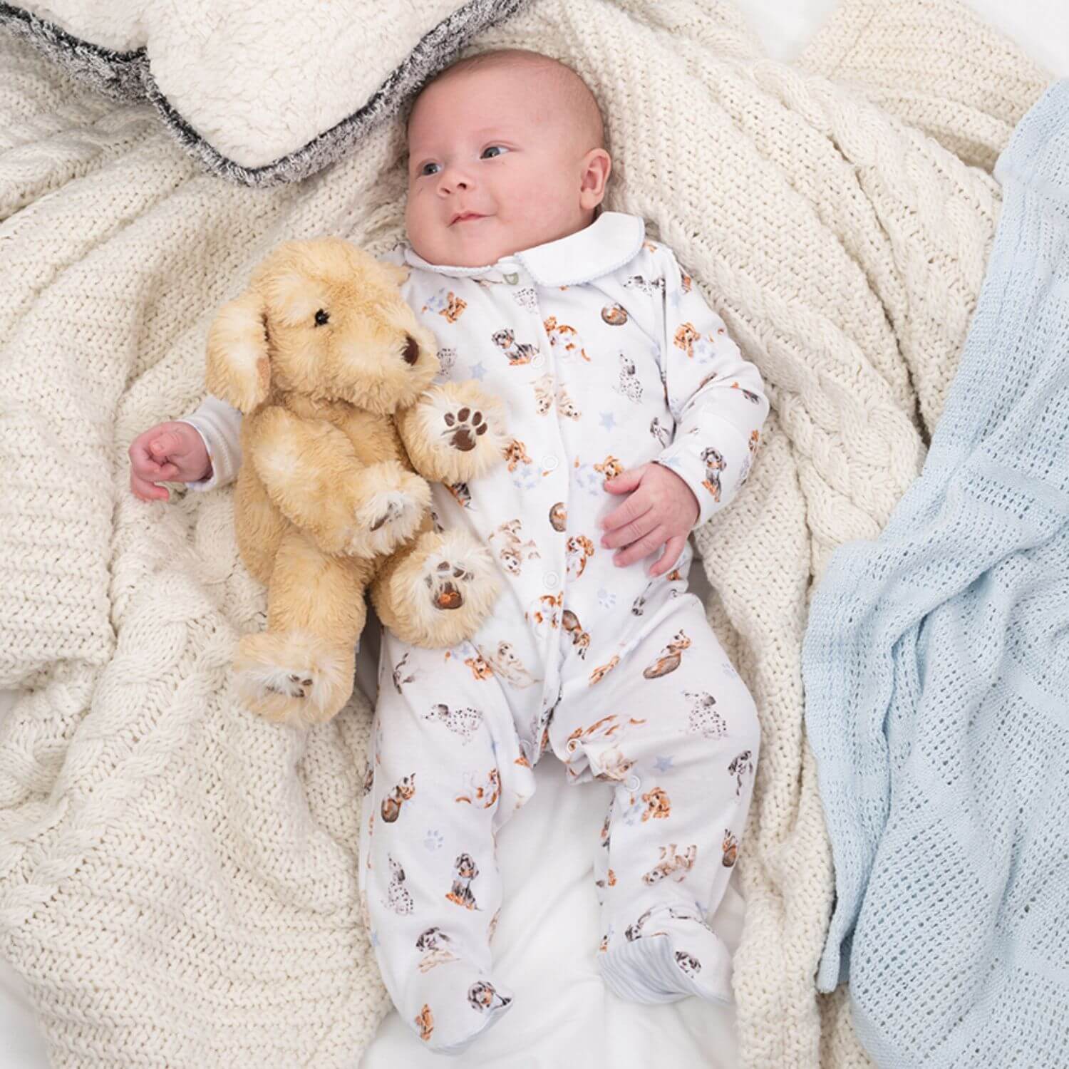 Wrendale Designs Little Wren Little Paws Printed Babygrow - 3-6 Months - Image 4