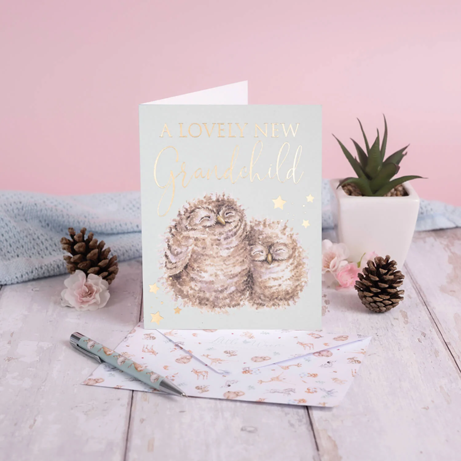 Wrendale Designs Little Wren Card - Words of Wisdom - A Lovely New Grandchild - Owl - Image 2