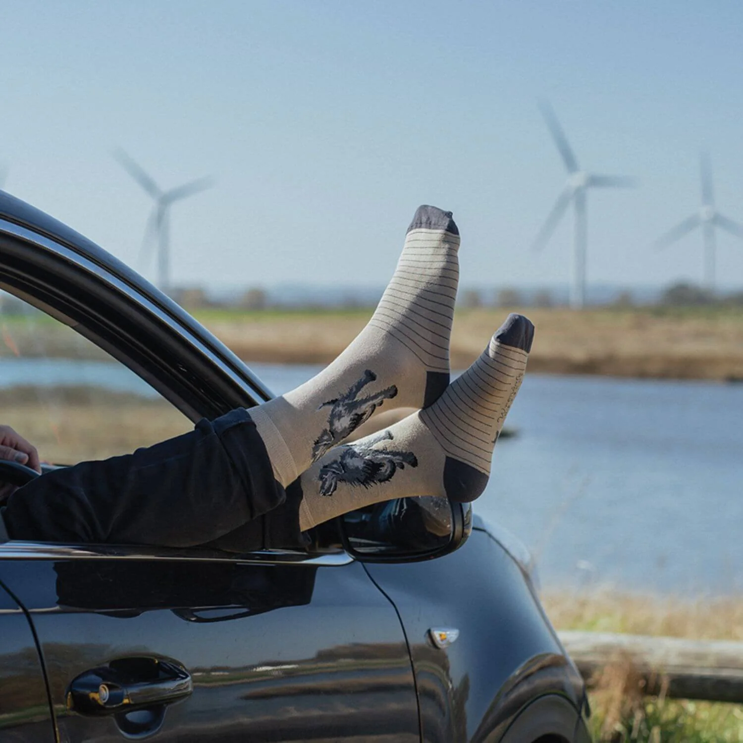 Wrendale Designs Mens Bamboo Socks One Size 7-11 - Walkies - Labrador - Image 2