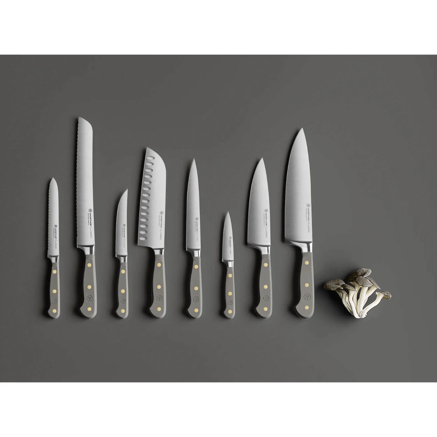 Wusthof Classic 23cm Bread Knife - Velvet Oyster - Image 2