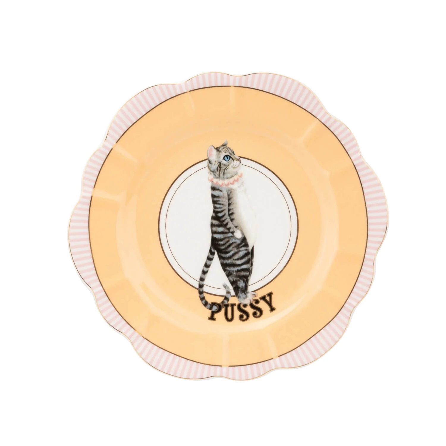 Yvonne Ellen 23cm Fine China Flower Plate - Pussy