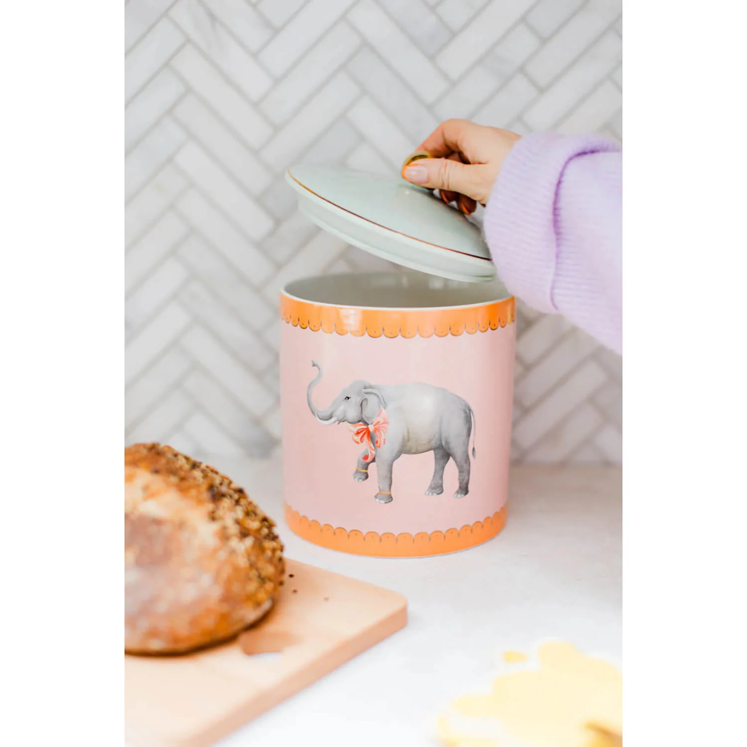 Yvonne Ellen Biscuit Jar - Elephant - Image 5