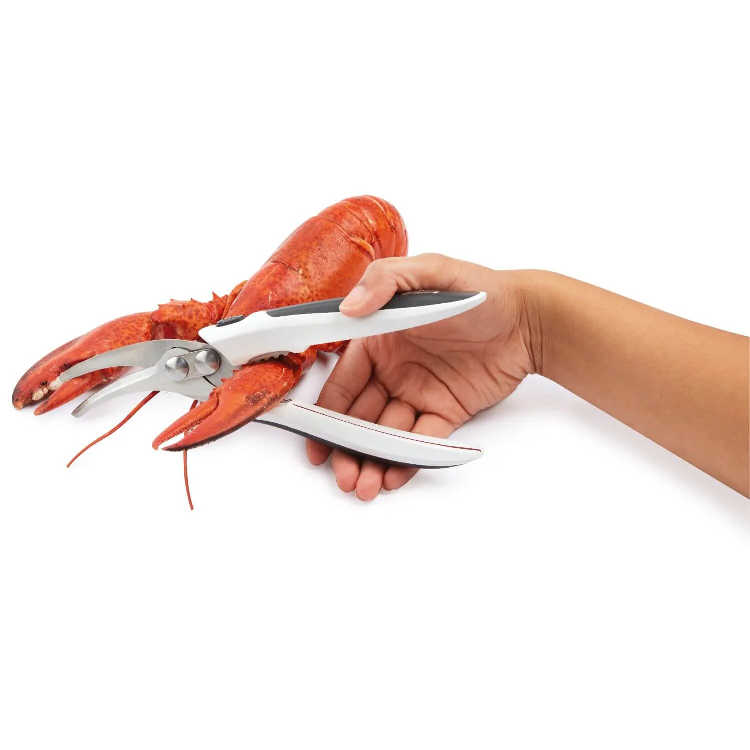 Zyliss Shellfish Shears - Image 7